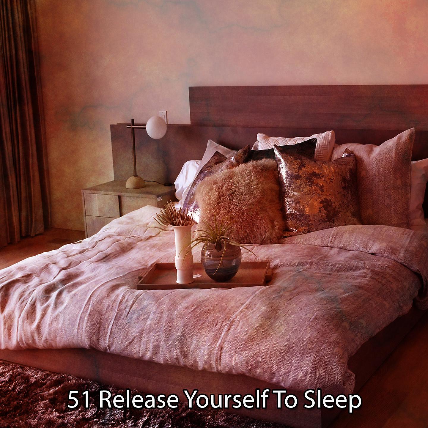 Постер альбома 51 Release Yourself To Sleep