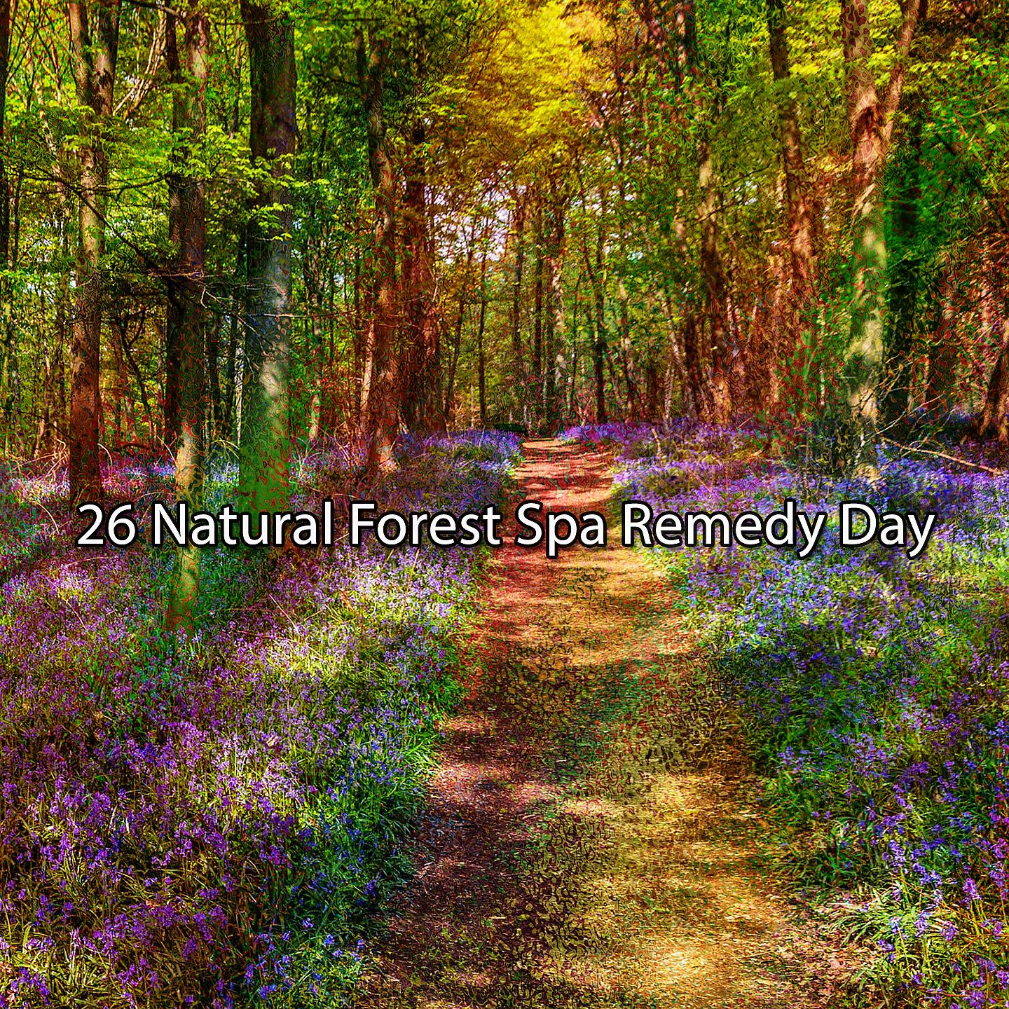 Постер альбома 26 День исцеления в спа-салоне в природном лесу