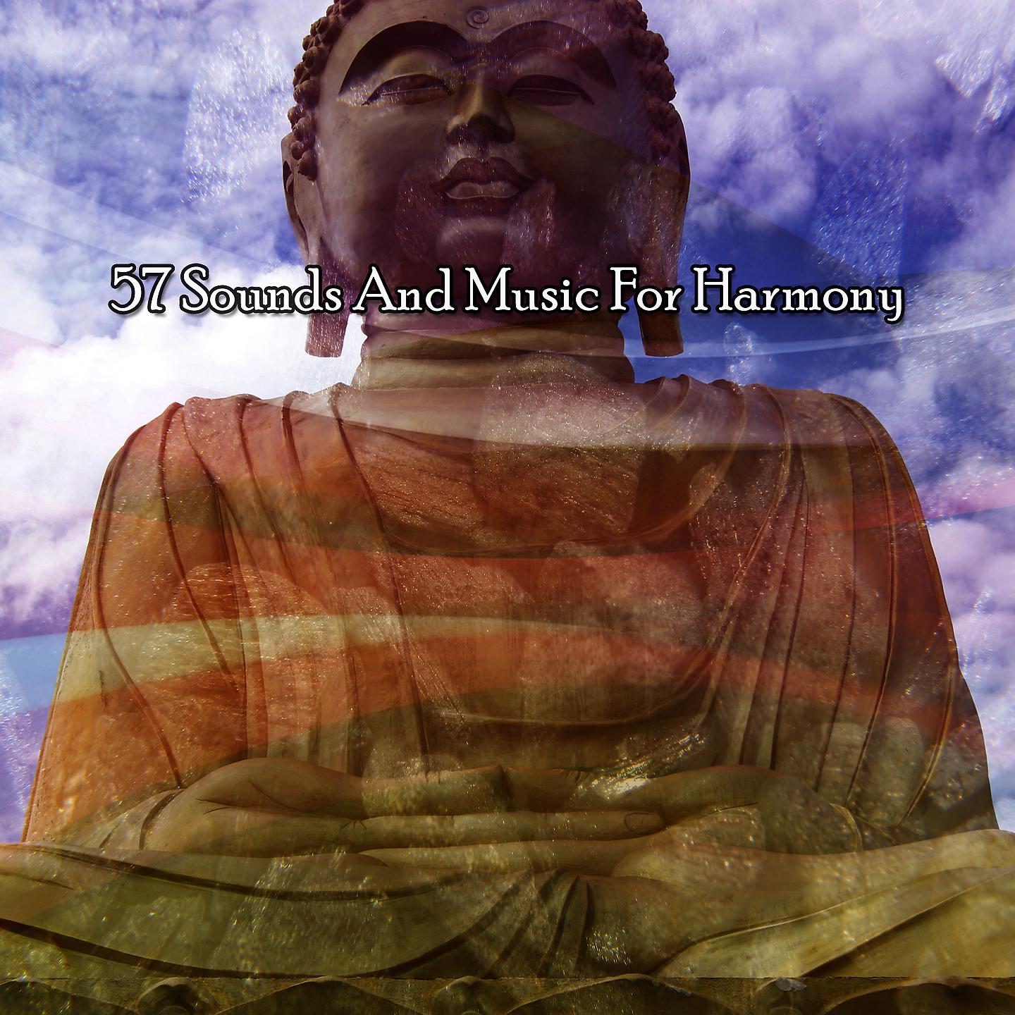 Постер альбома 57 звуков и музыки для гармонии