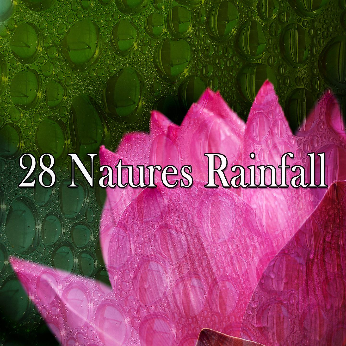 Постер альбома 28 Природа Дождь