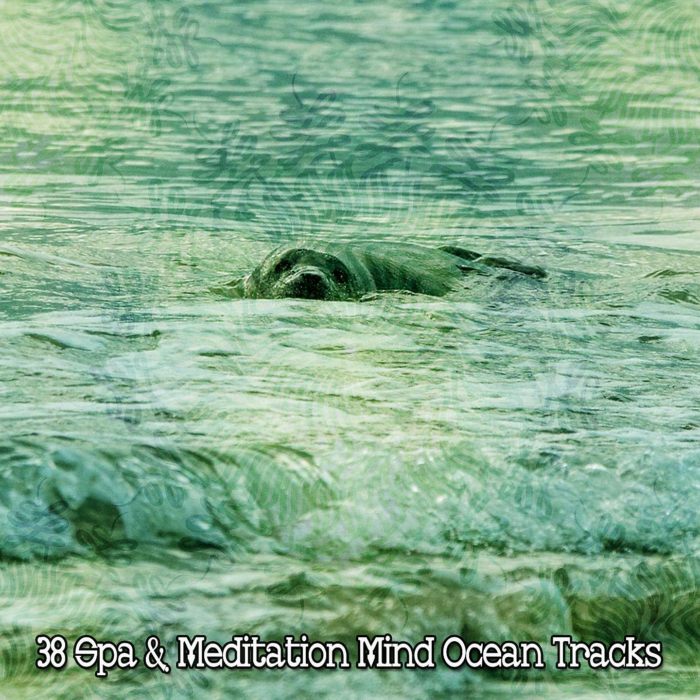 Постер альбома 38 треков Mind Ocean для спа и медитации