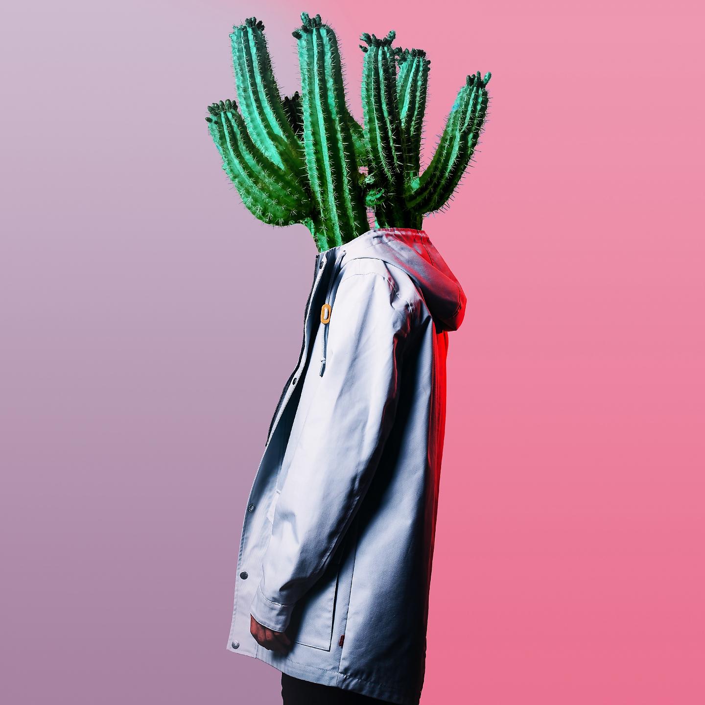 Постер альбома Cactus Dream