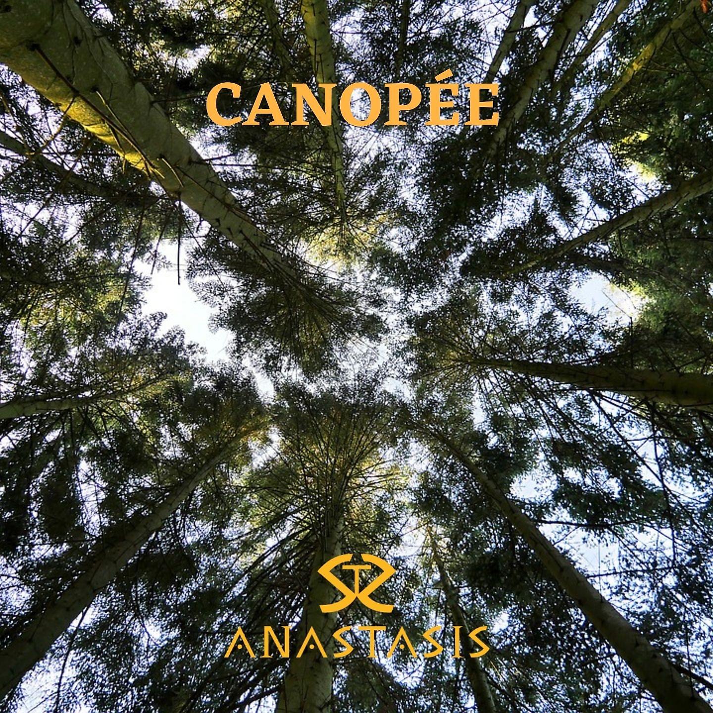Постер альбома Canopée