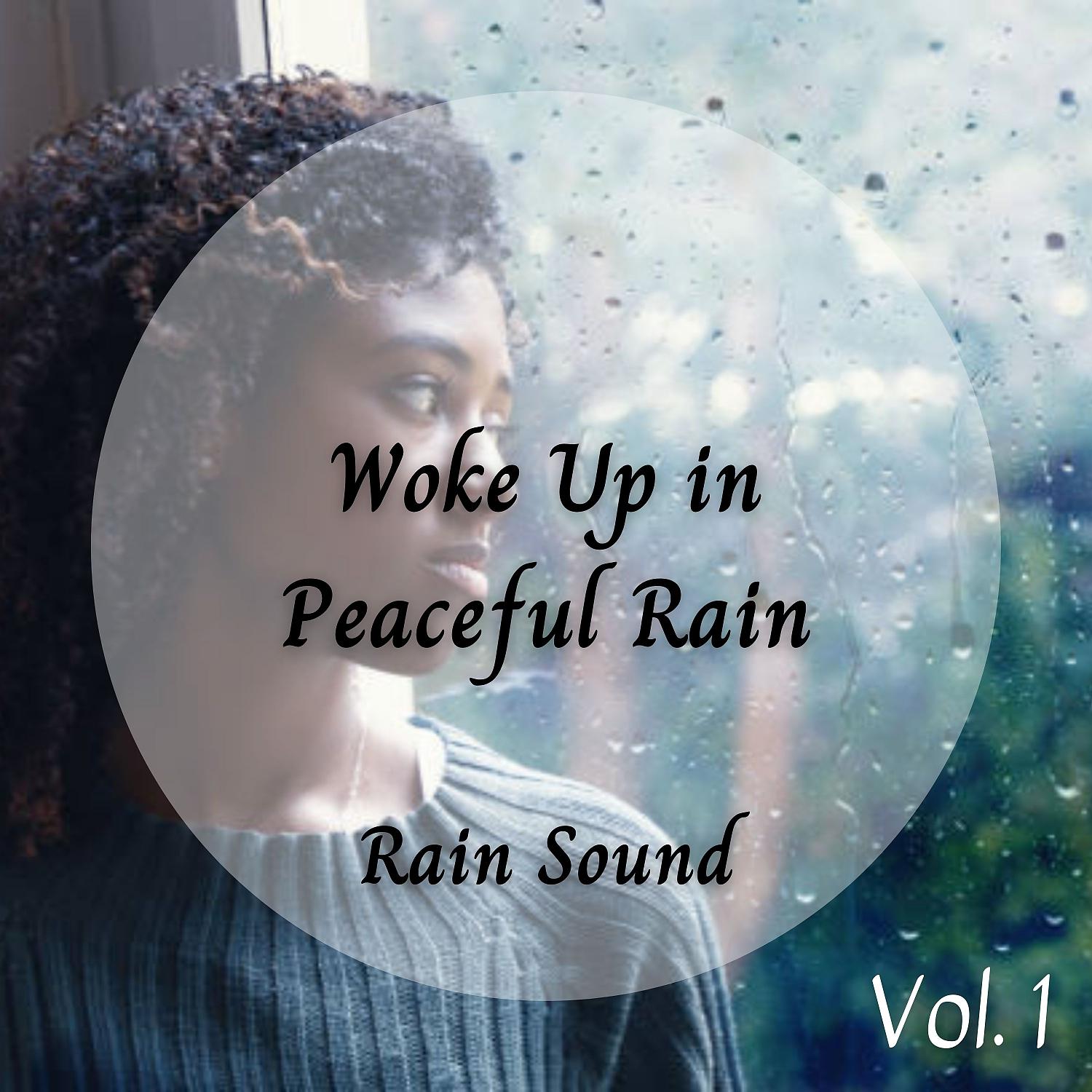 Постер альбома Rain Sound: Woke Up in Peaceful Rain Vol. 1