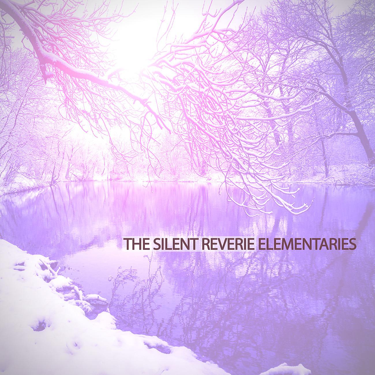 Постер альбома The Silent Reverie