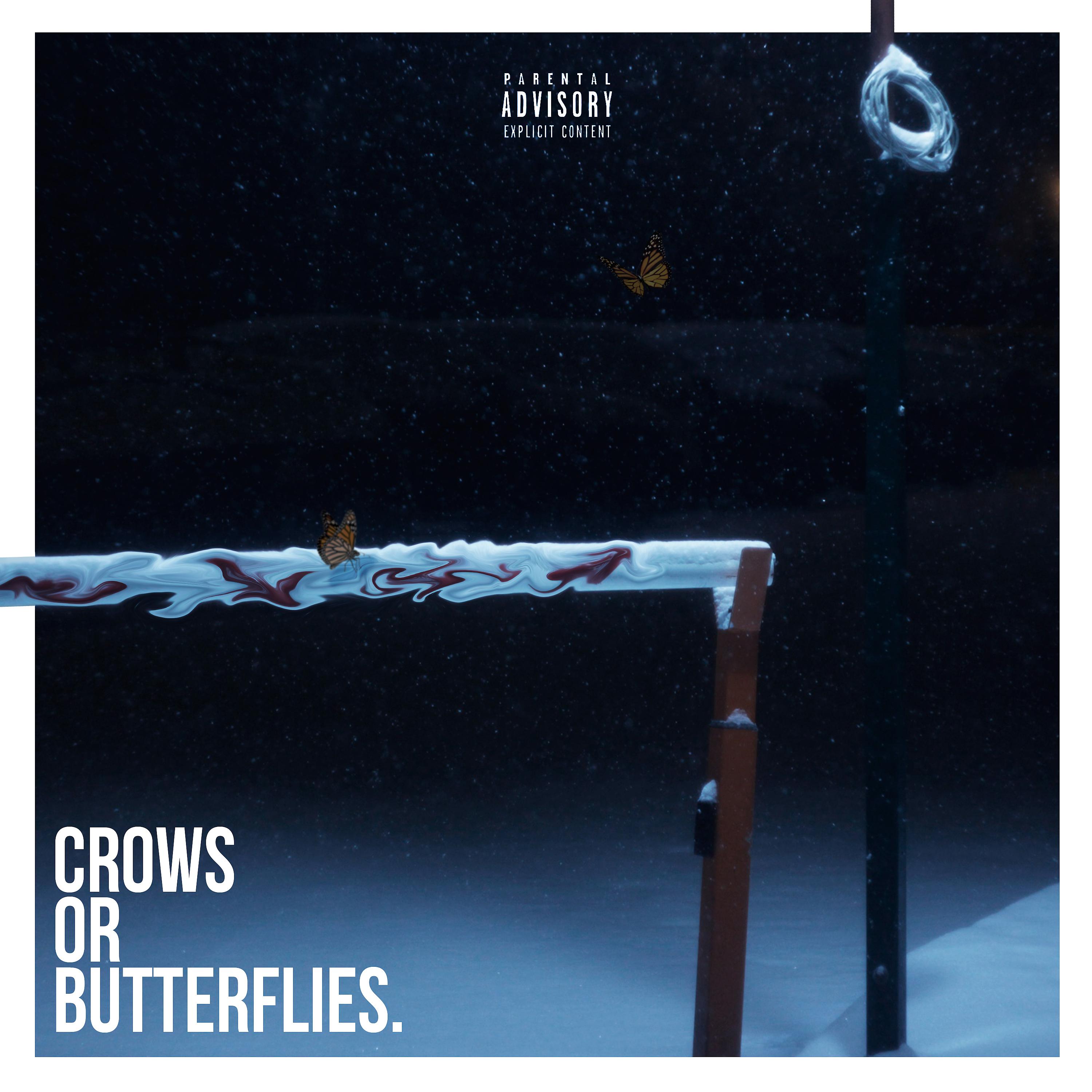 Постер альбома Crows or Butterflies
