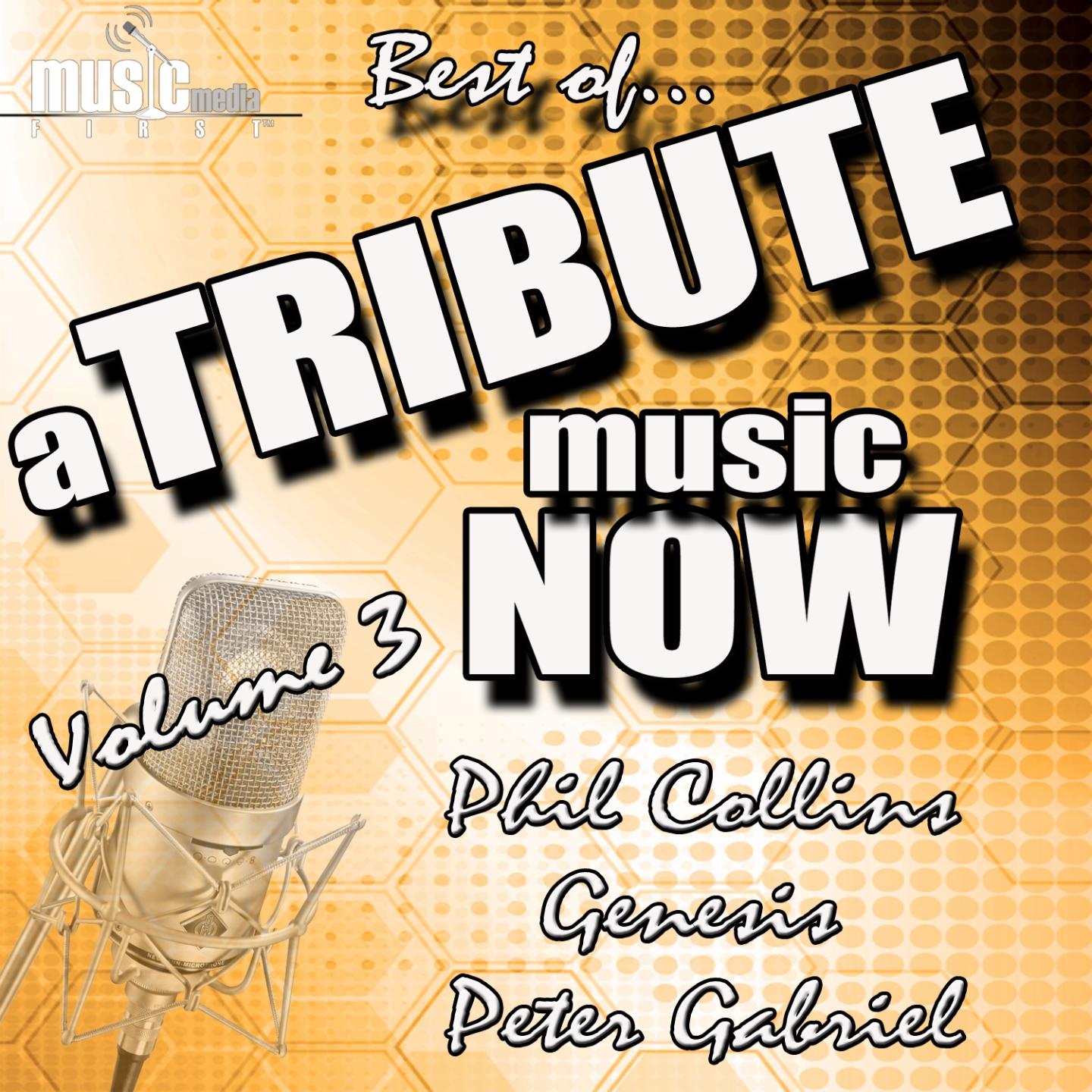 Постер альбома A Tribute Music Now: Best of... Phil Collins, Genesis and Peter Gabriel, Vol. 3
