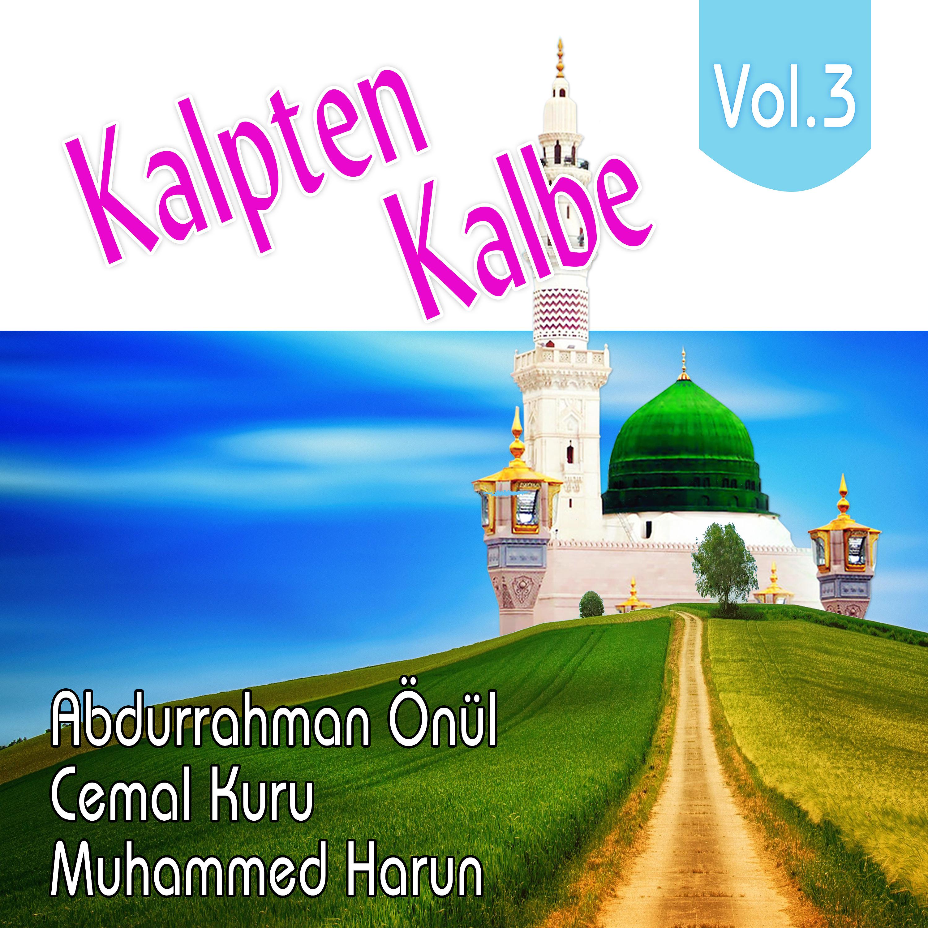 Постер альбома Kalpten Kalbe, Vol.3