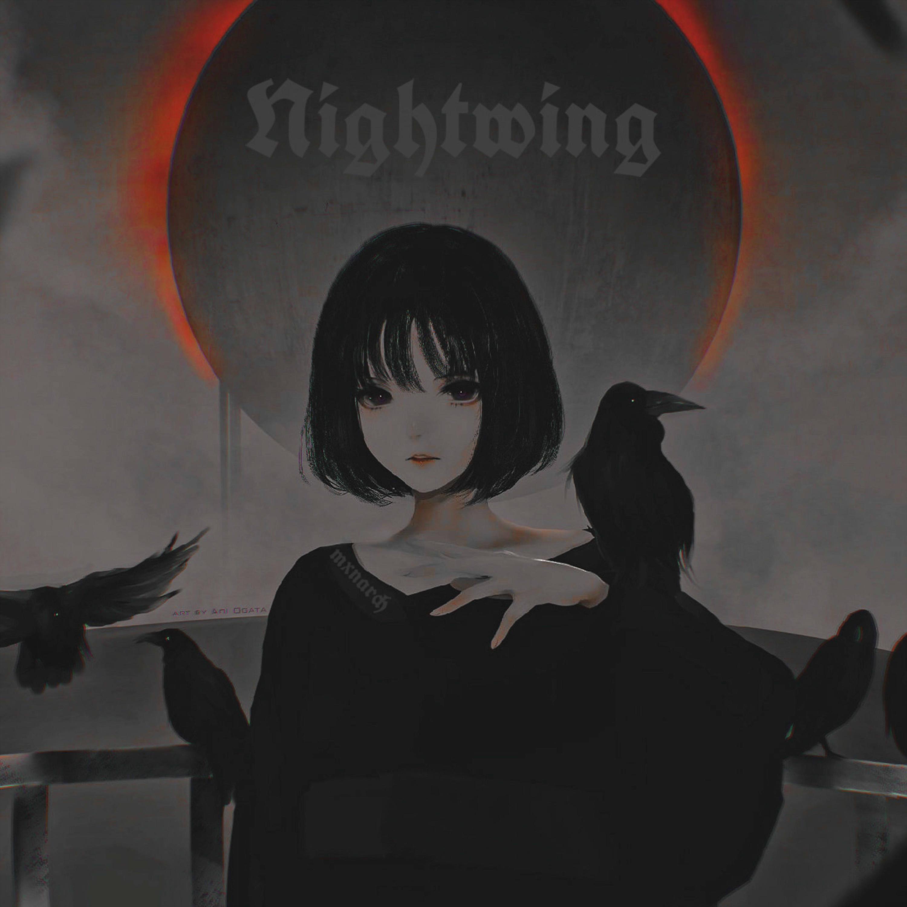 Постер альбома Nightwing