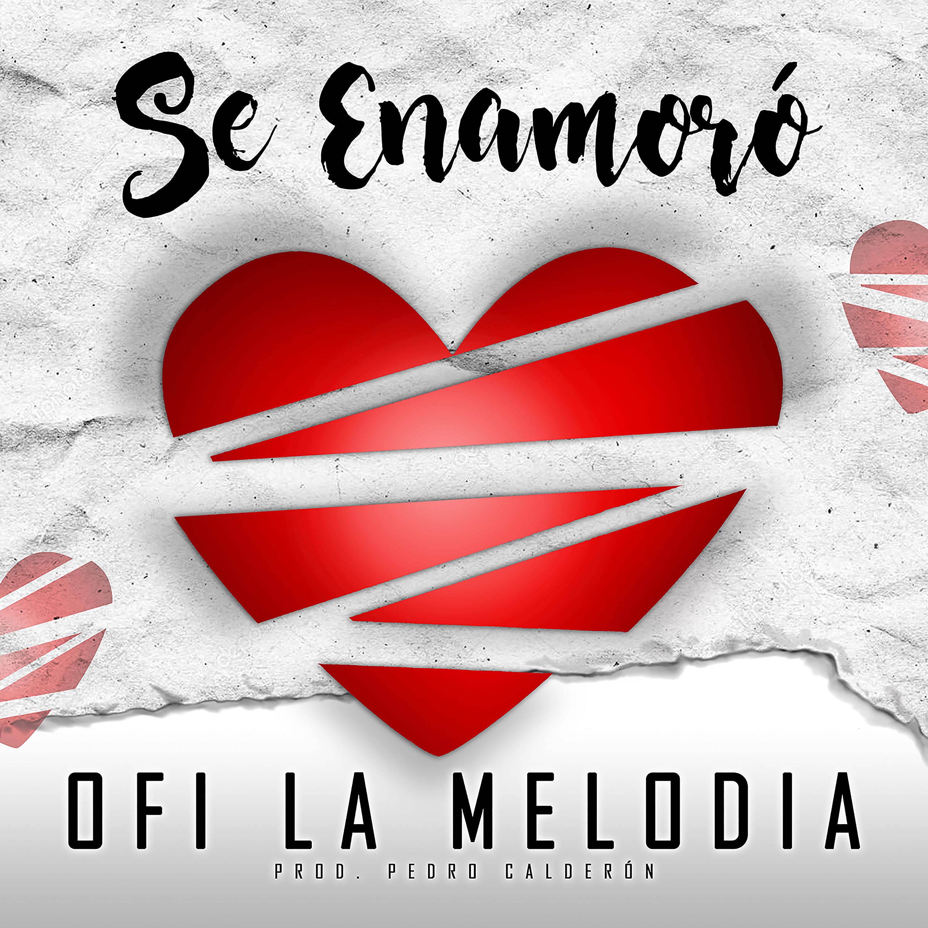 Постер альбома Se Enamoró
