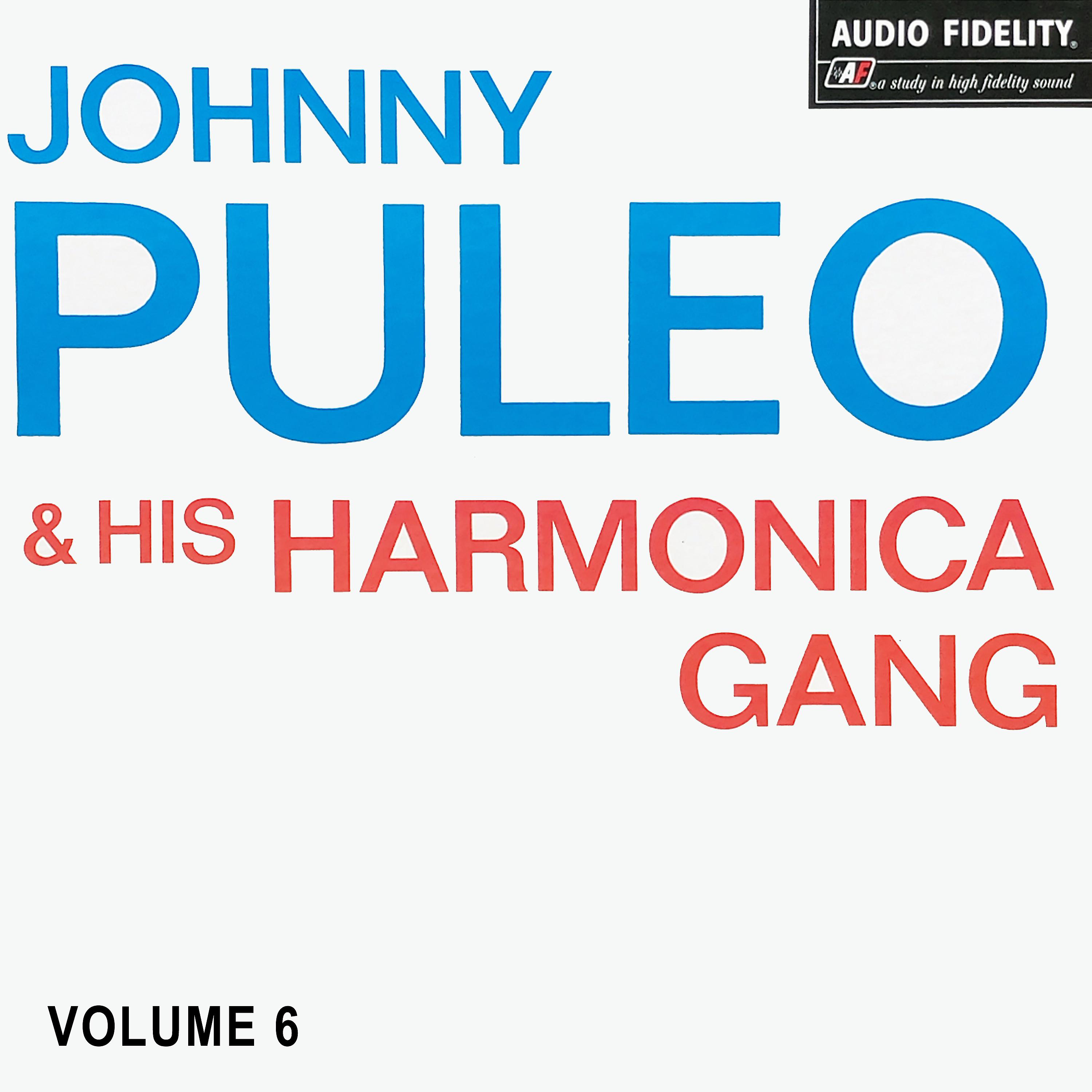 Постер альбома Johnny Puleo and His Harmonica Gang Vol. 6