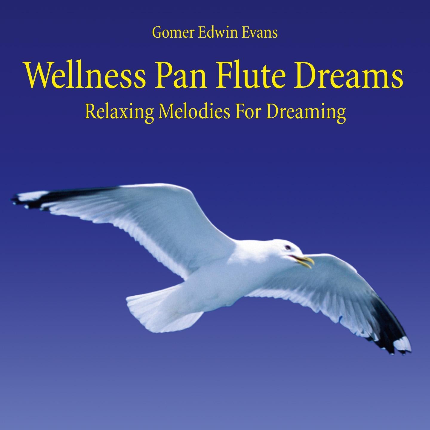 Постер альбома Wellness Pan Flute Dreams: Relaxing Melodies for Dreaming