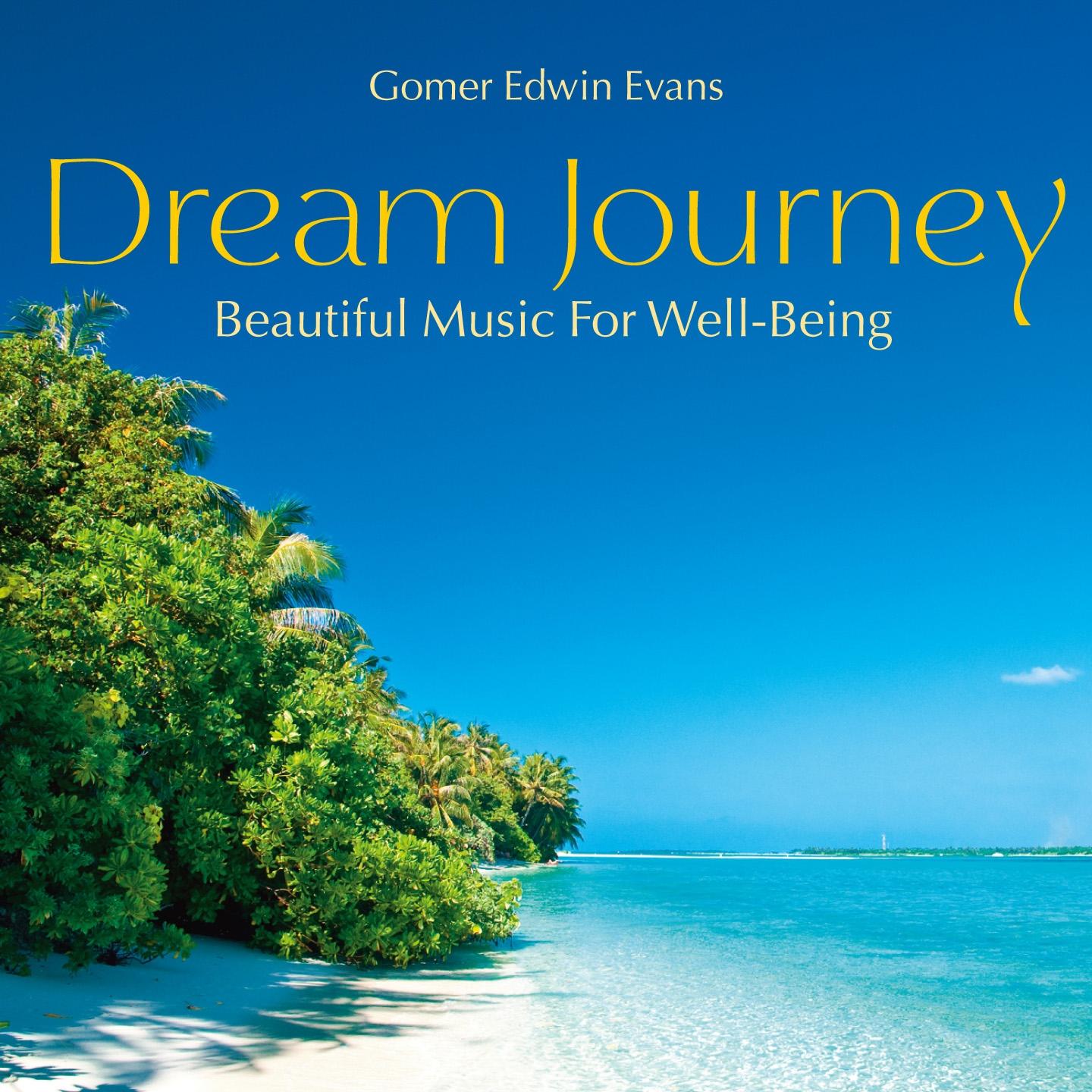 Постер альбома Dream Journey: Beautiful Music for Well-Being