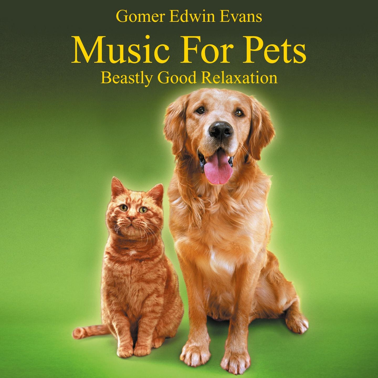 Постер альбома Music for Pets: Beastly Good Relaxation