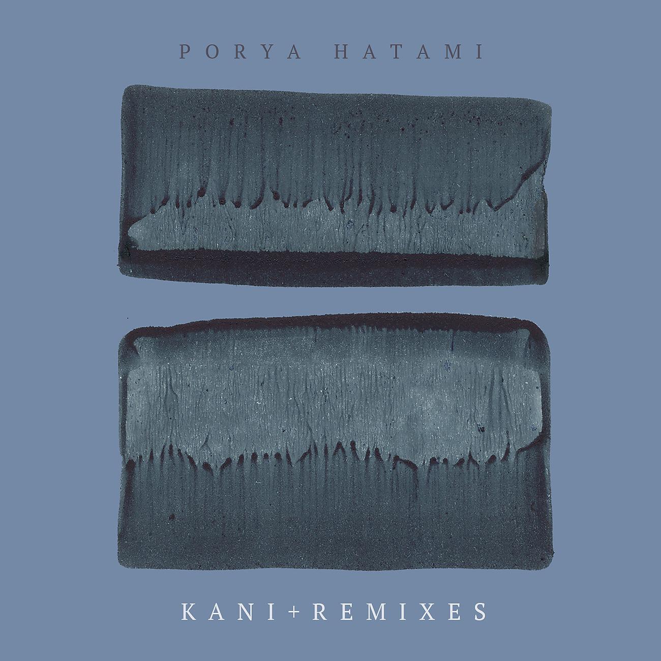 Постер альбома Kani + Remixes