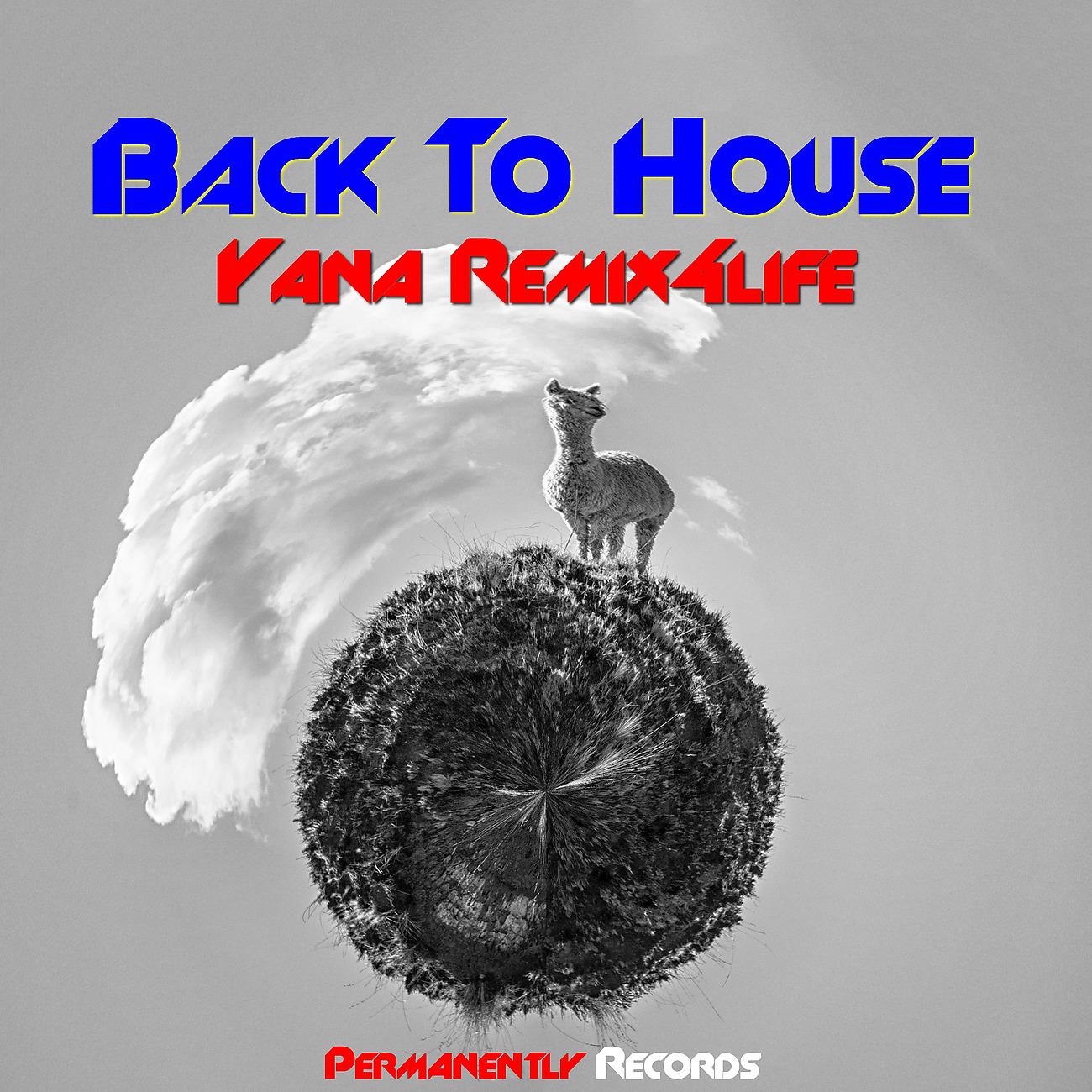 Постер альбома Back To House