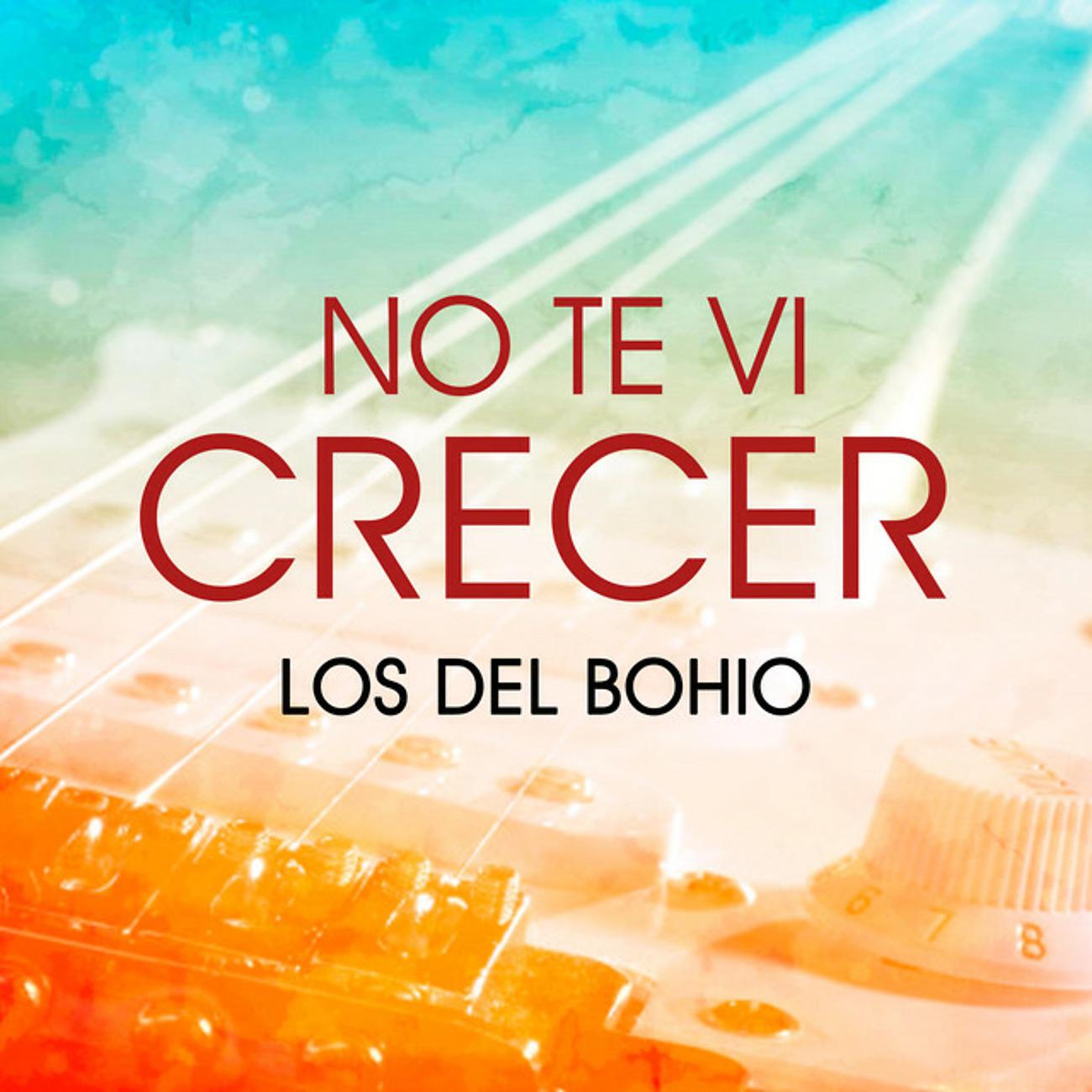 Постер альбома No Te Vi Crecer