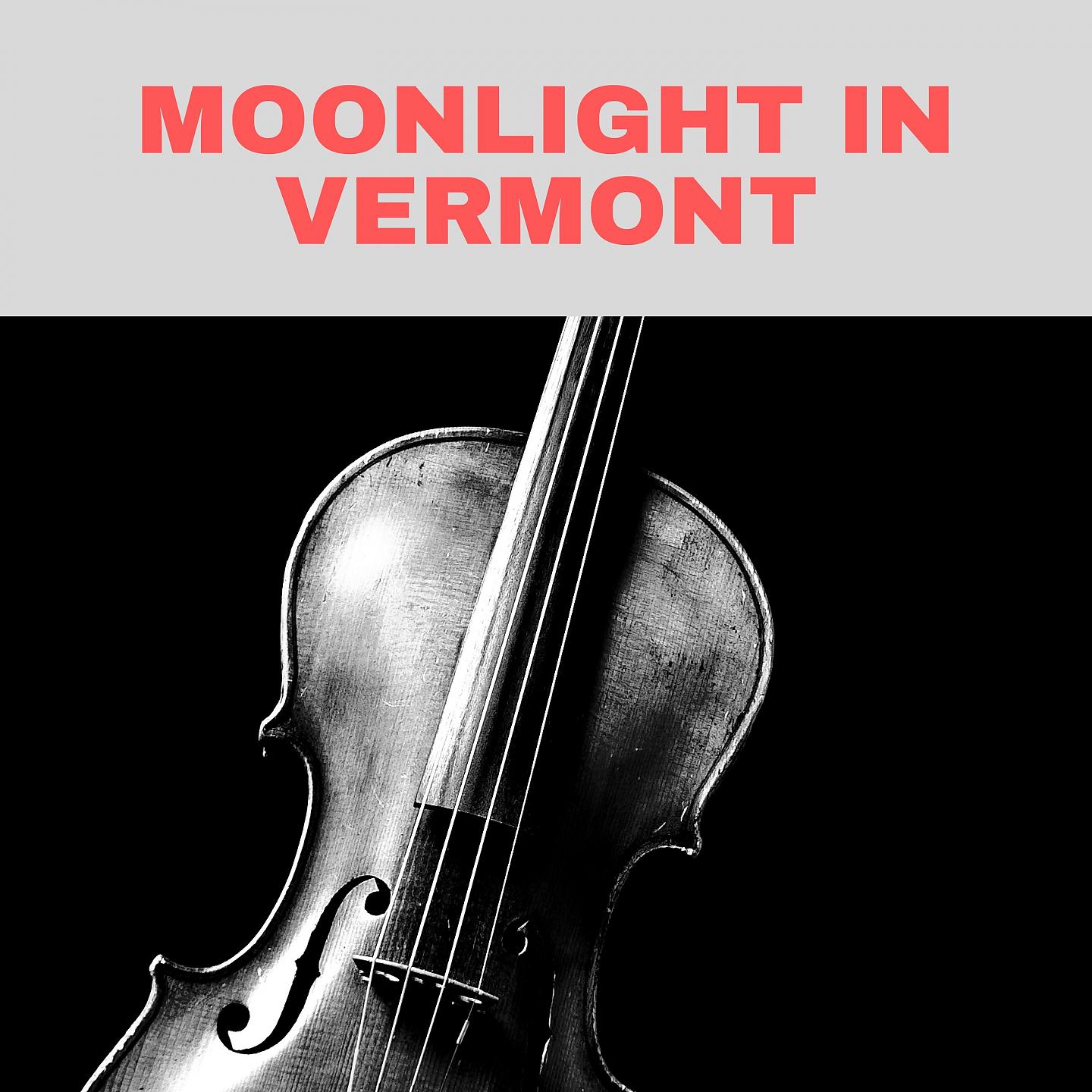 Постер альбома Moonlight in Vermont
