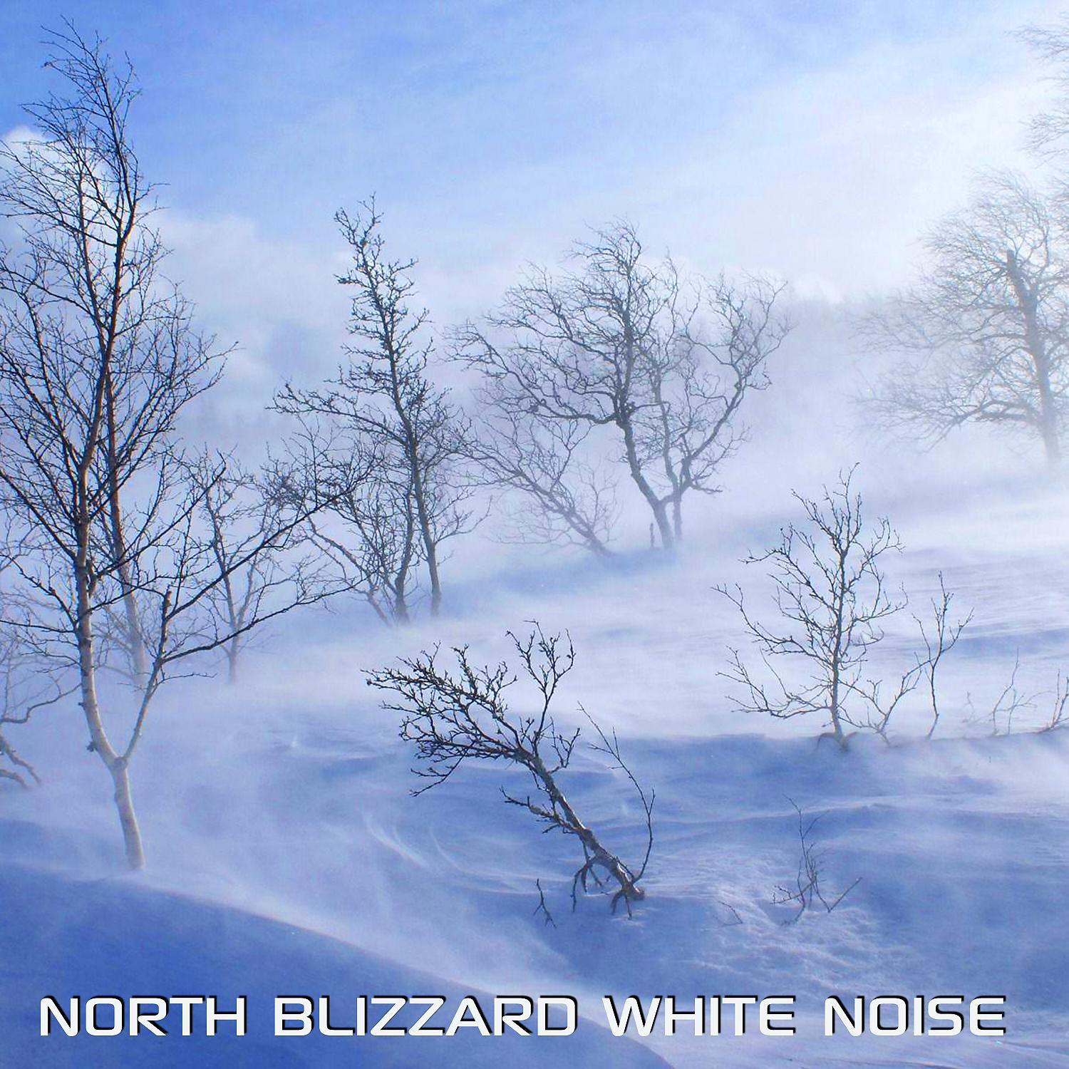 Постер альбома North Blizzard White Noise (feat. National Geographic Soundscapes, White Noise Sounds For Sleep, Relaxing Nature Sound, Soothing Baby Sounds, Soothing Sounds & Arctic Deep Night Blizzard)