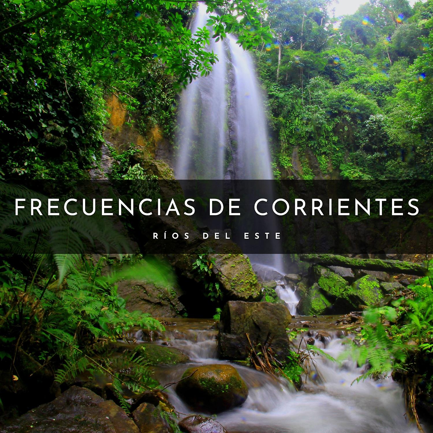 Постер альбома Frecuencias De Corrientes: Ríos Del Este