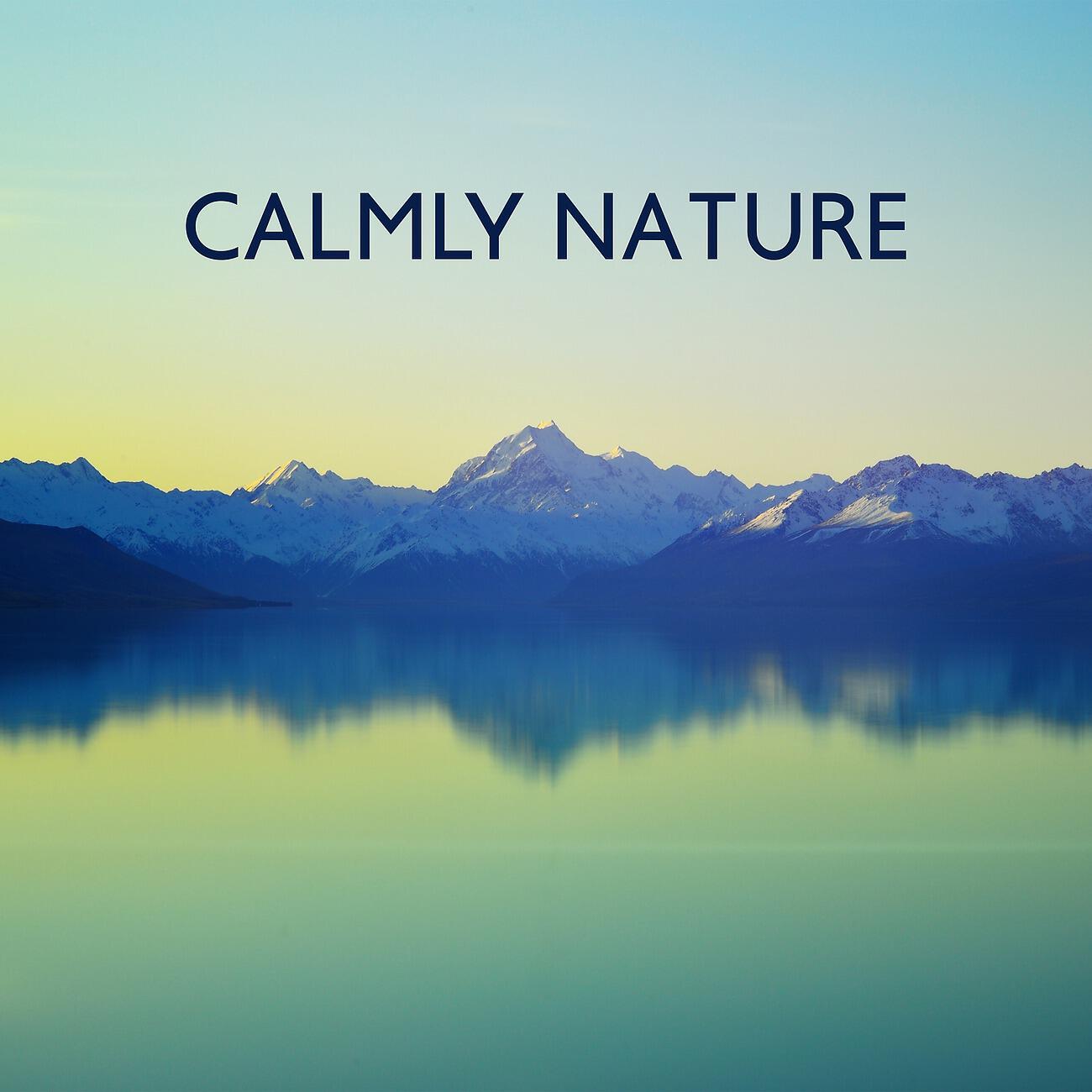 Oasis of Relaxation - Relax of Mind