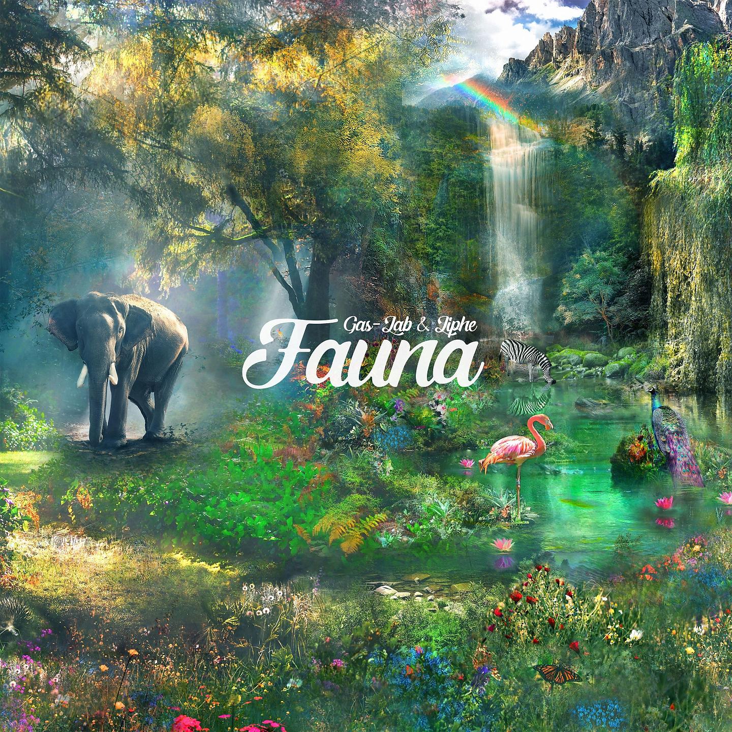 Постер альбома Fauna