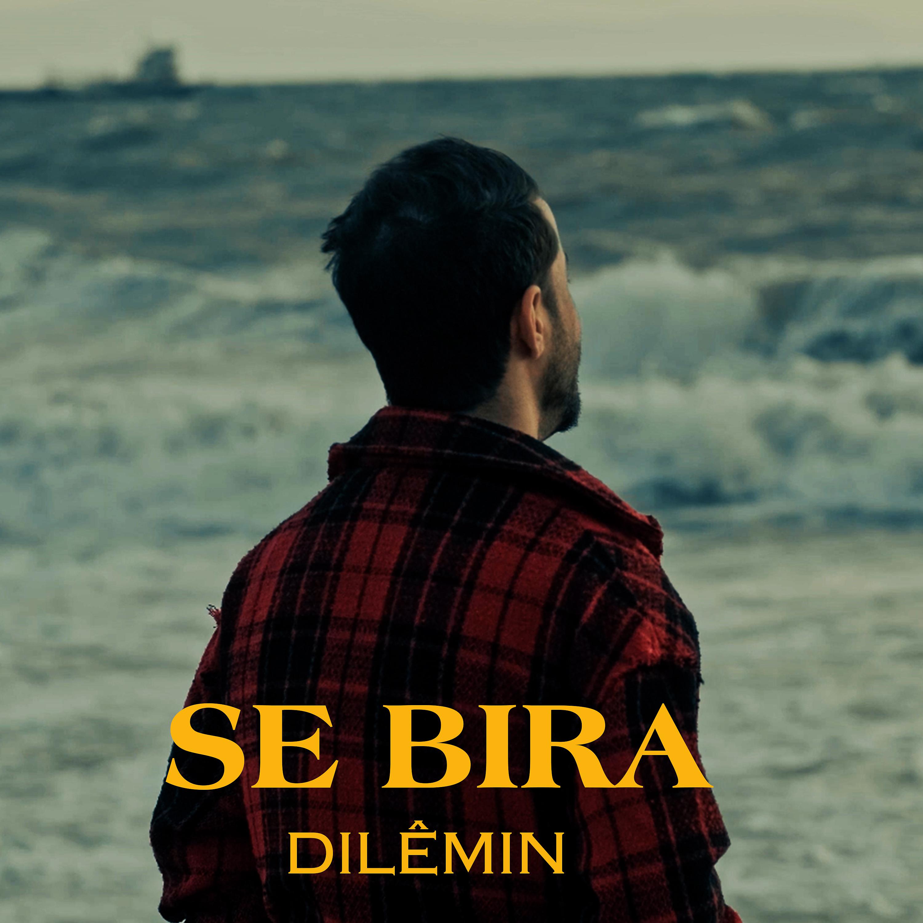 Постер альбома Dılêmın