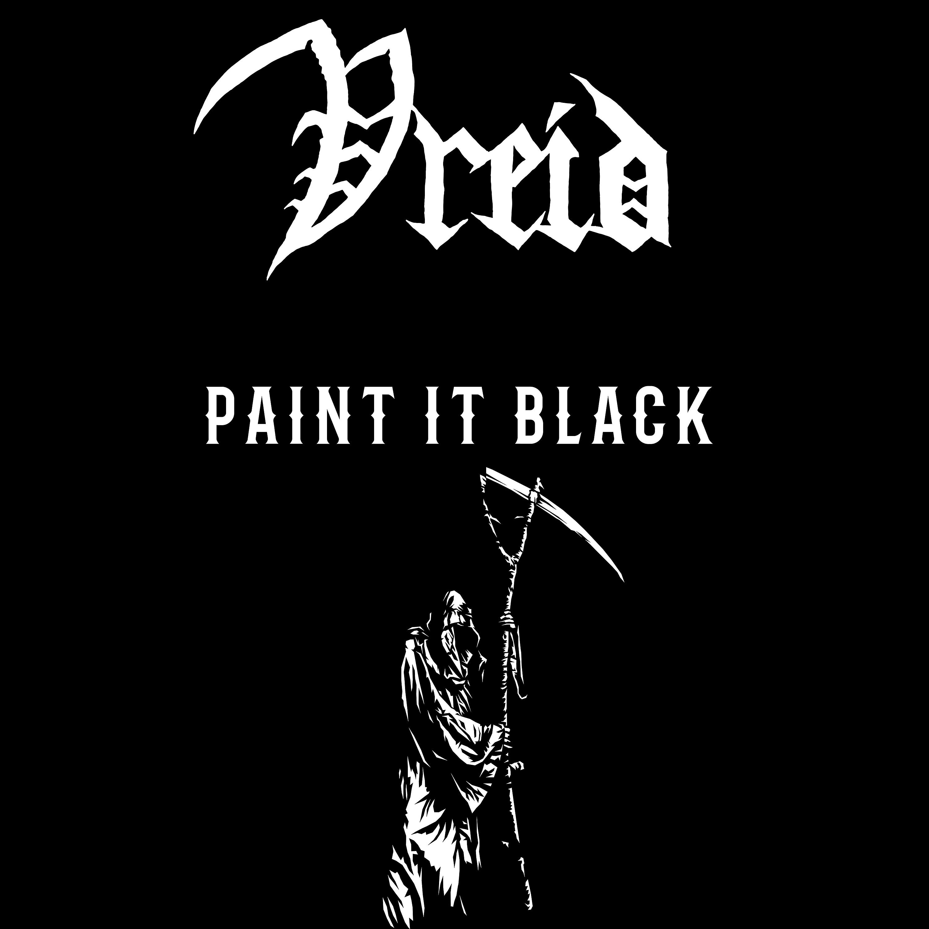 Постер альбома Paint It Black (Cover)