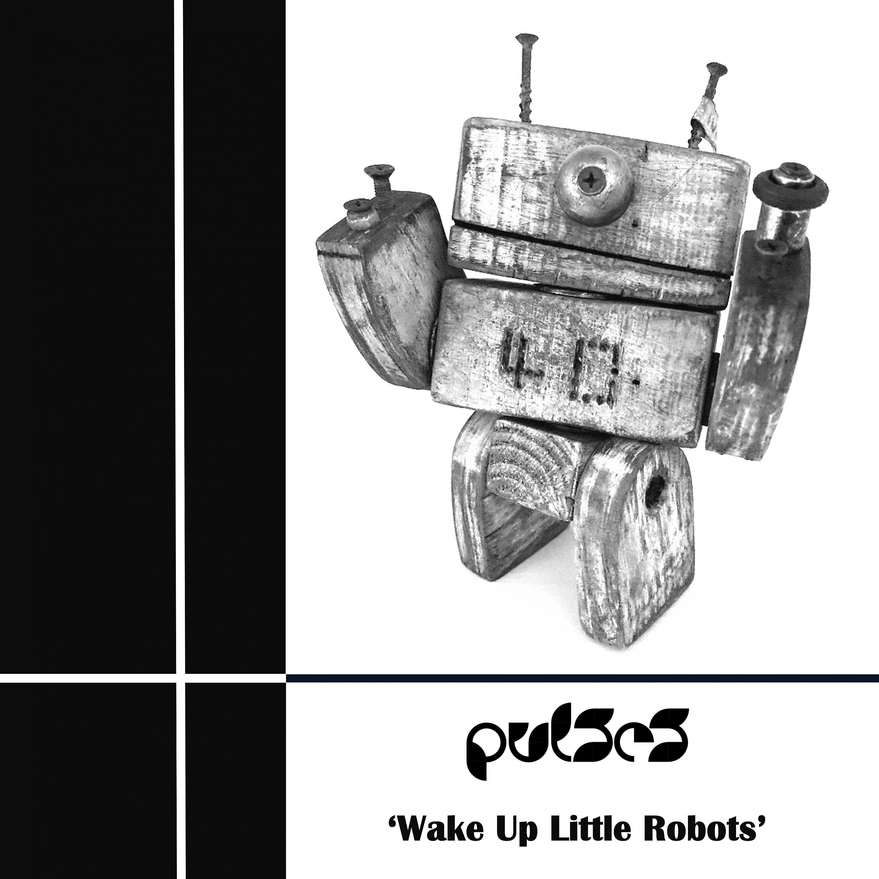 Постер альбома Wake Up Little Robots