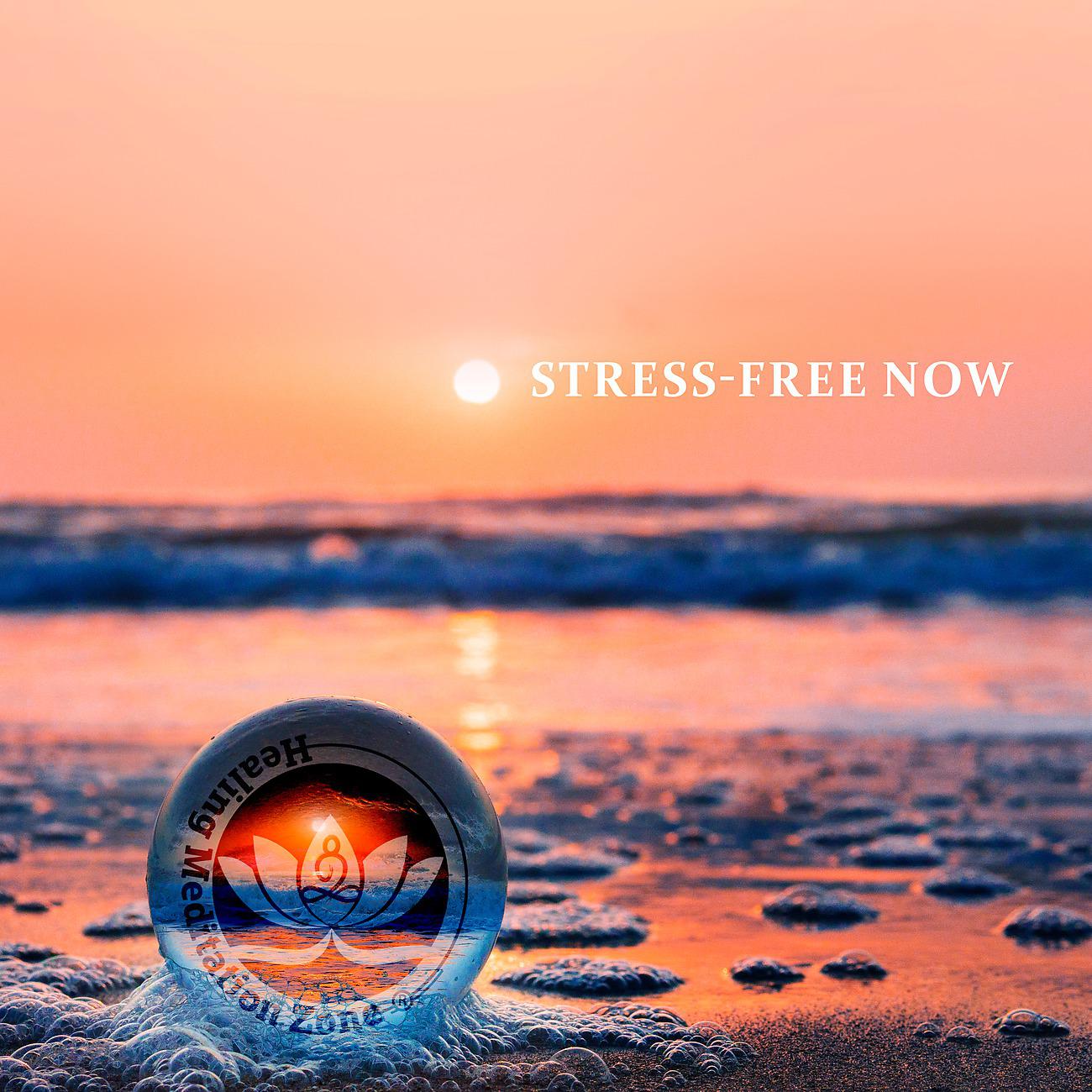 Постер альбома Stress-Free Now