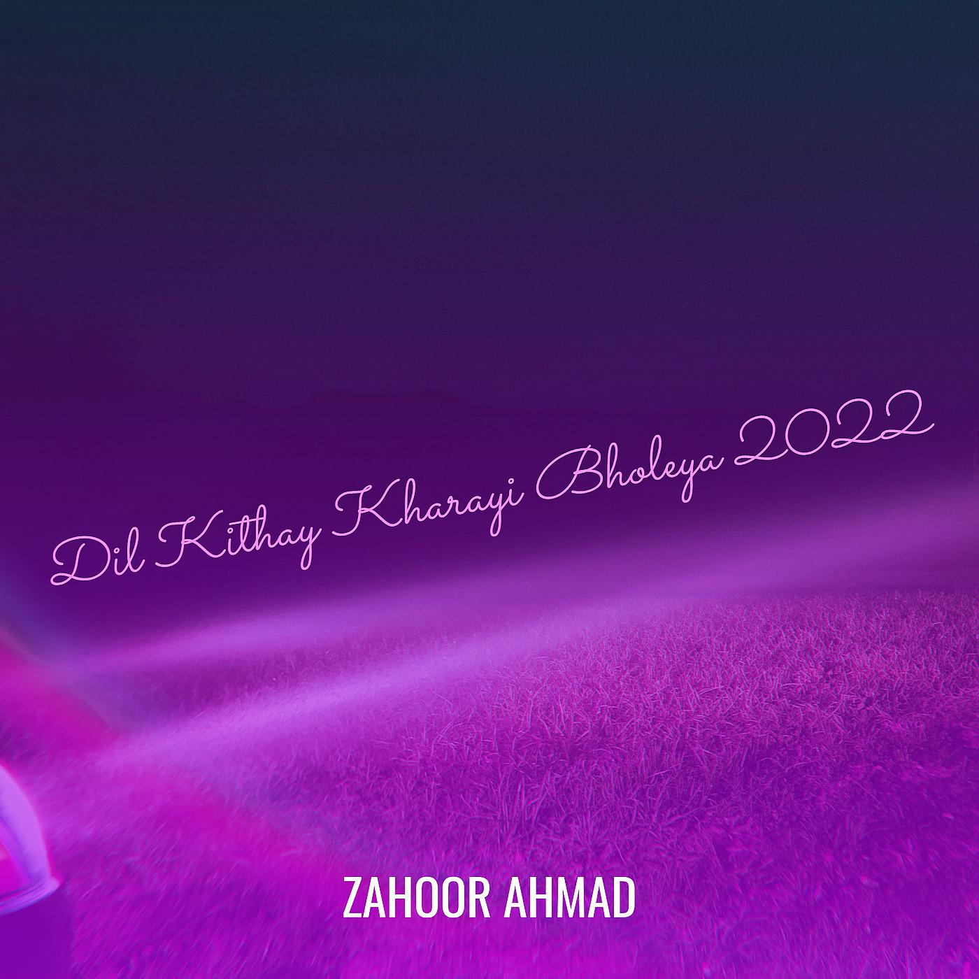 Постер альбома Dil Kithay Kharayi Bholeya 2022