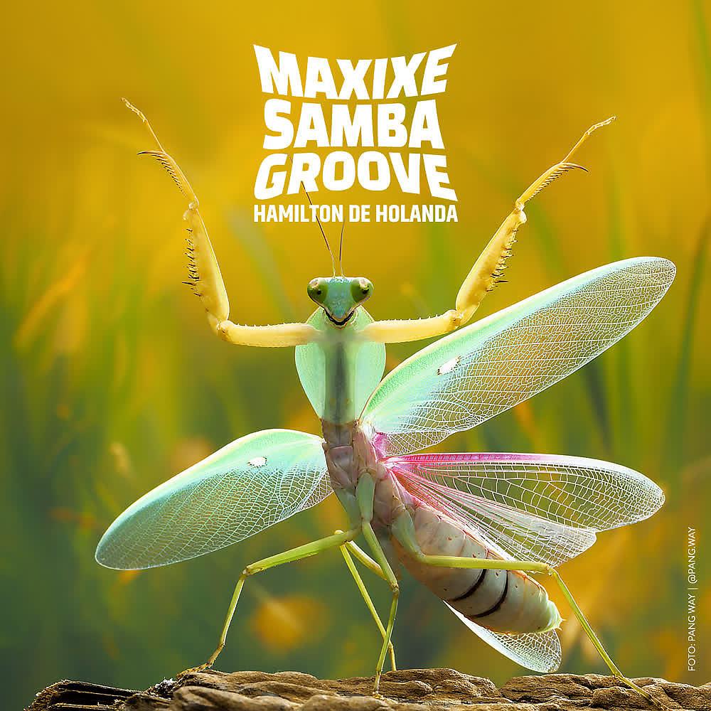 Постер альбома Maxixe Samba Groove
