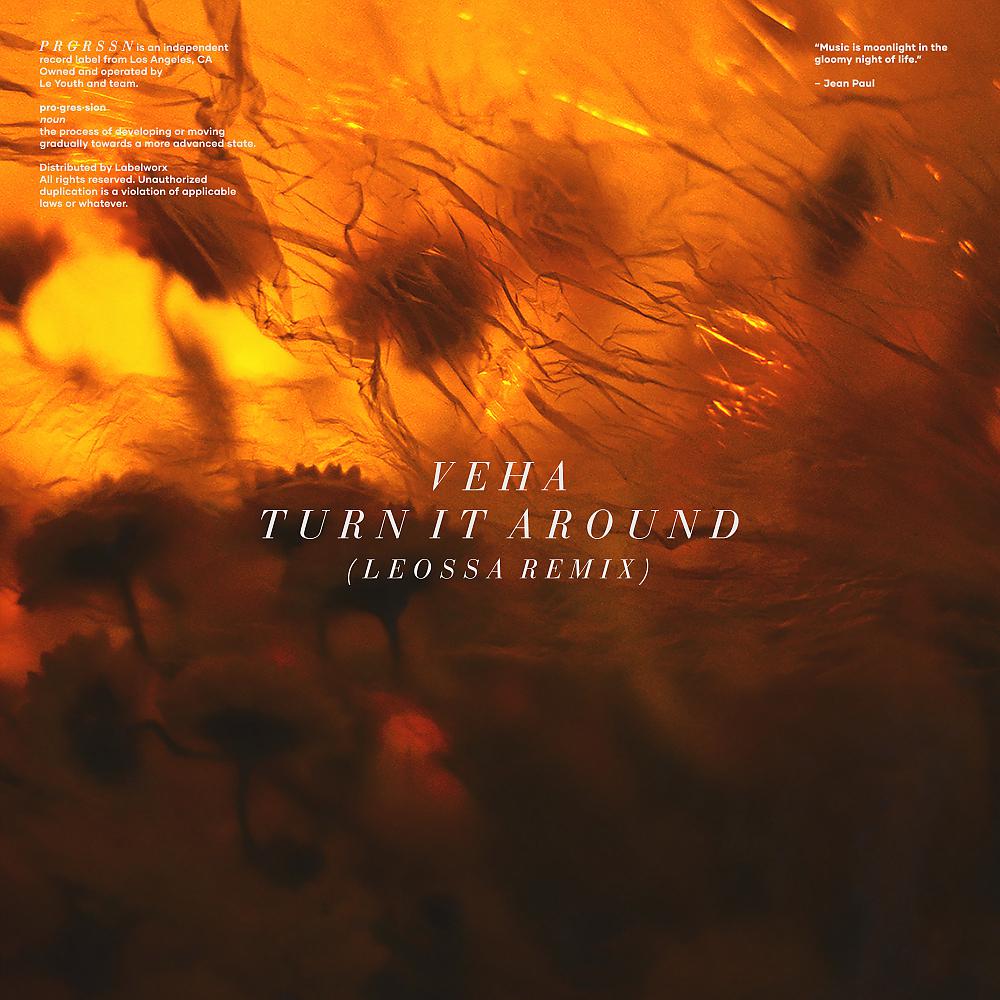 Постер альбома Turn It Around (Leossa Remix)
