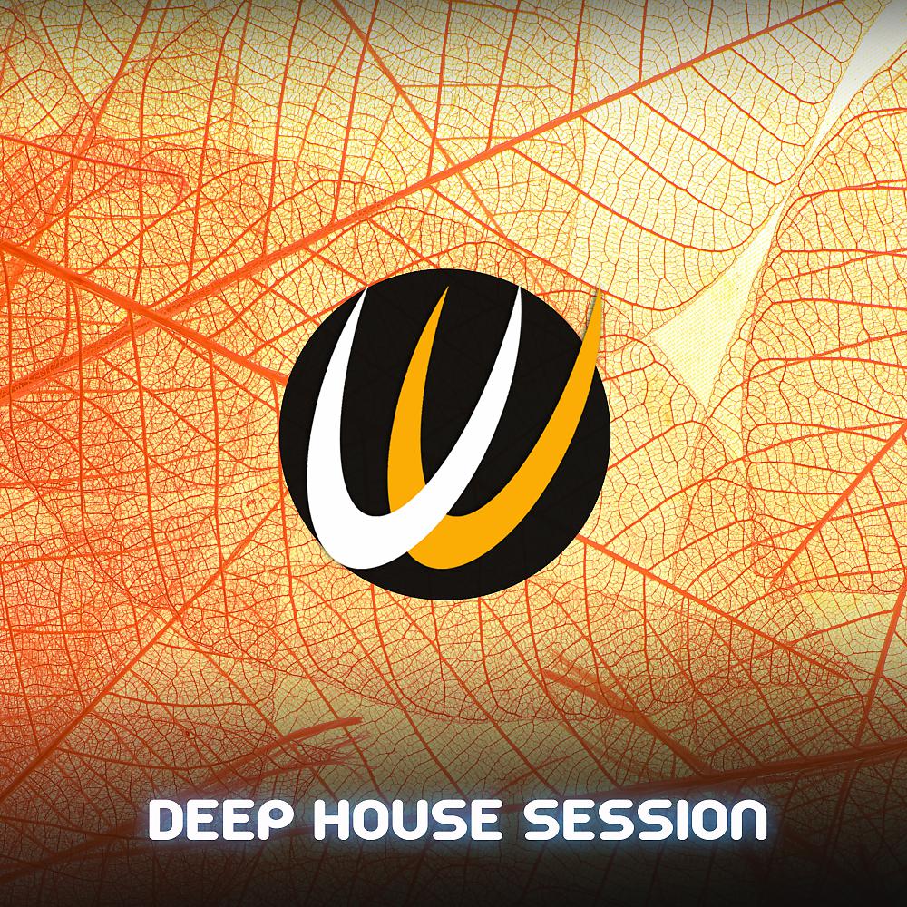 Постер альбома Deep House Session 1