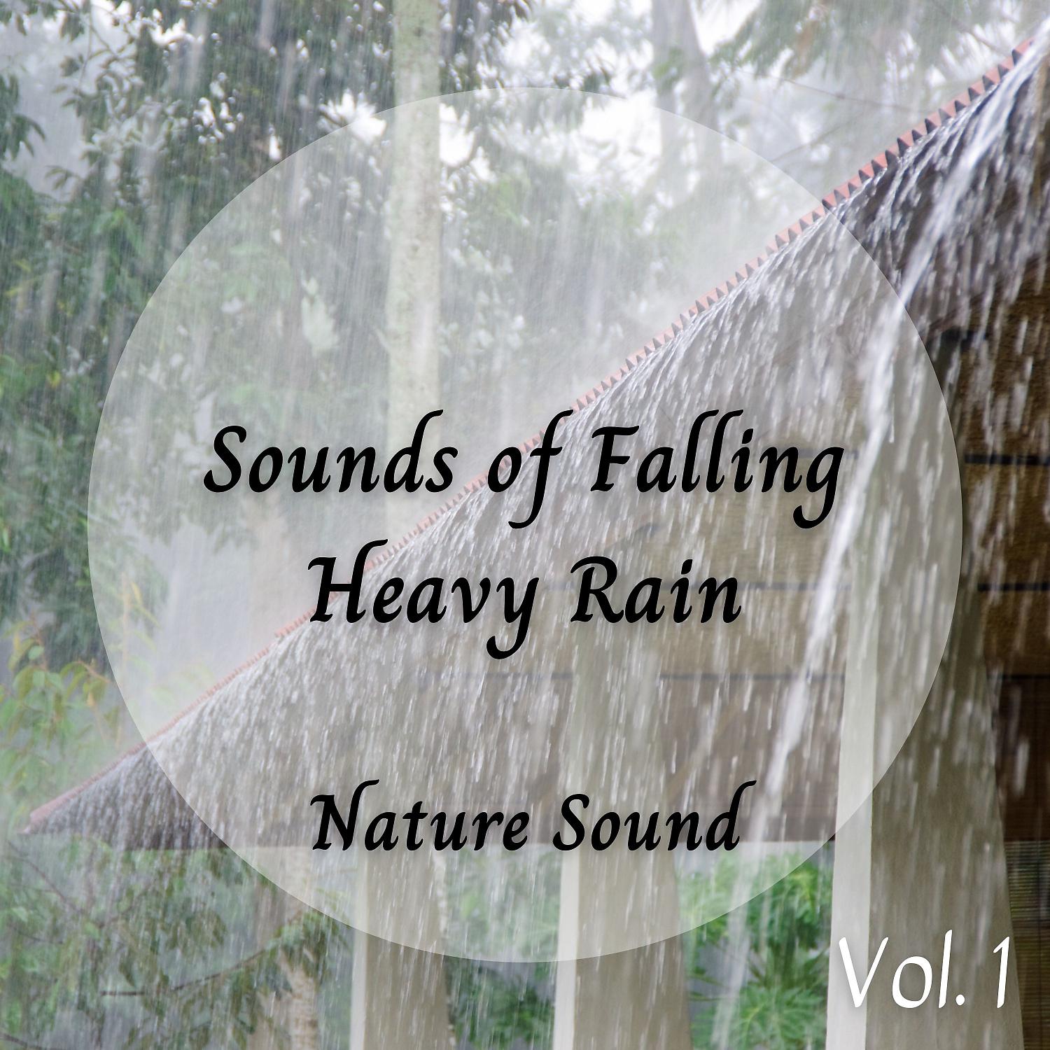 Постер альбома Nature Sound: Sounds of Falling Heavy Rain Vol. 1