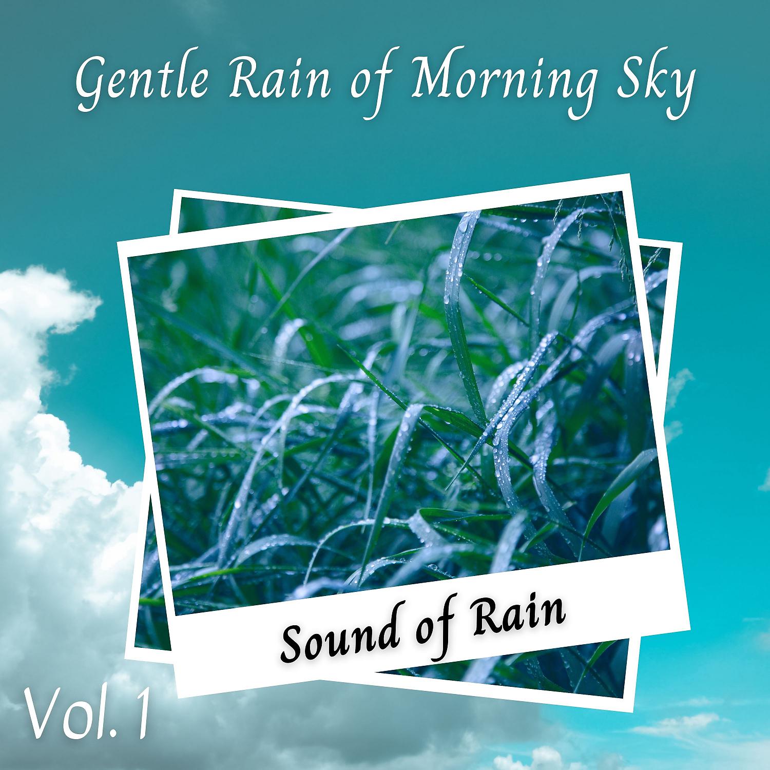 Постер альбома Sound of Rain: Gentle Rain of Morning Sky