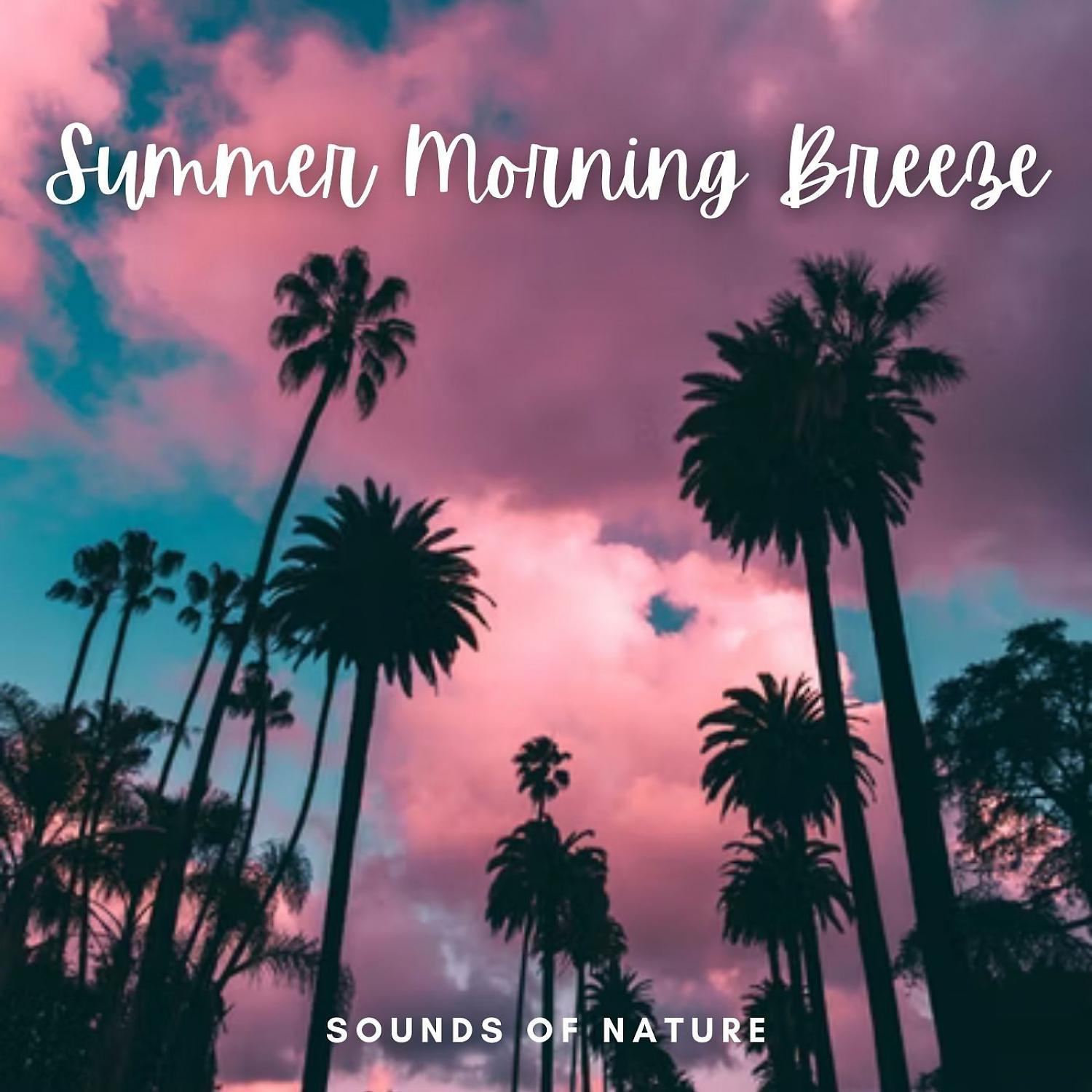Постер альбома Sounds of Nature: Summer Morning Breeze