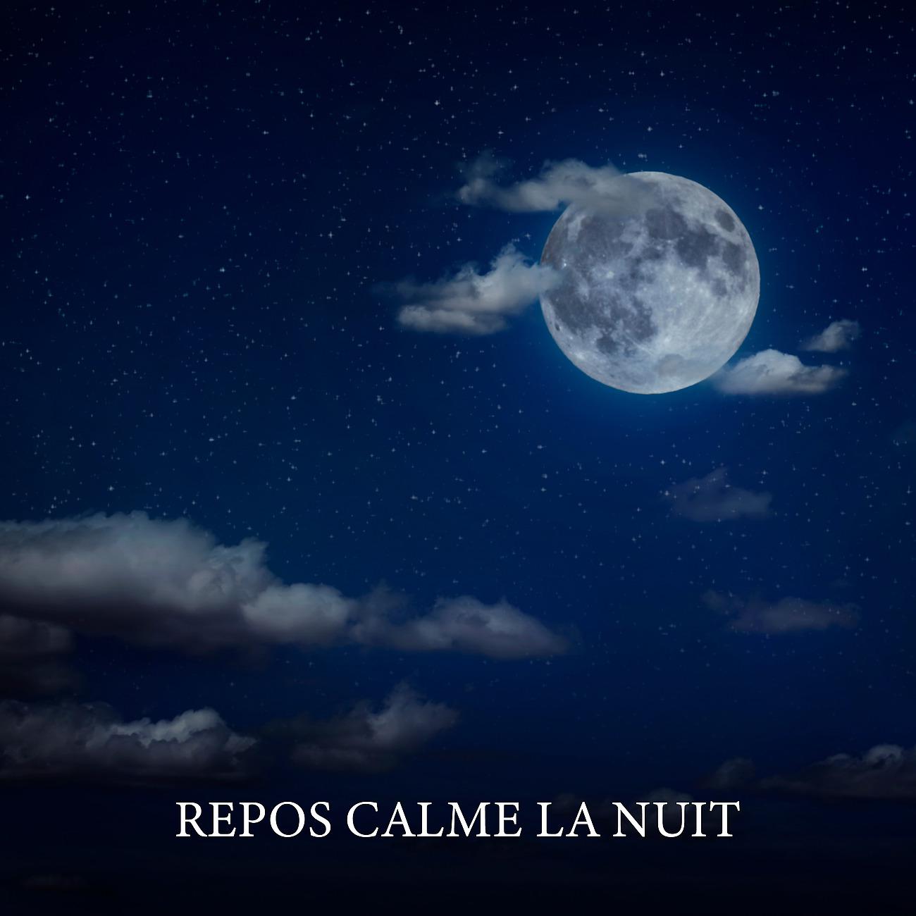 Постер альбома Repos calme la nuit