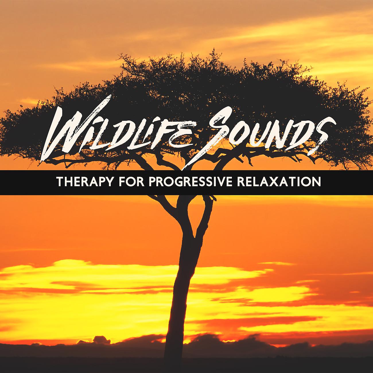 Постер альбома Wildlife Sounds Therapy for Progressive Relaxation Techniques