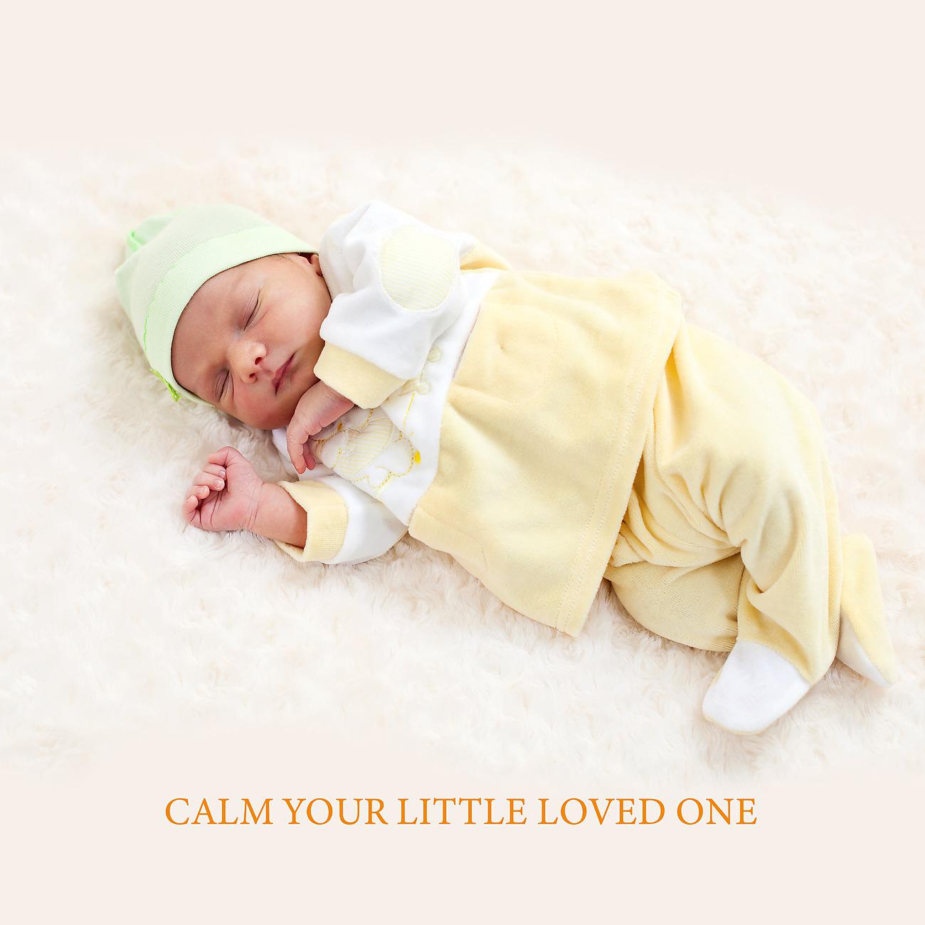 Постер альбома Calm Your Little Loved One