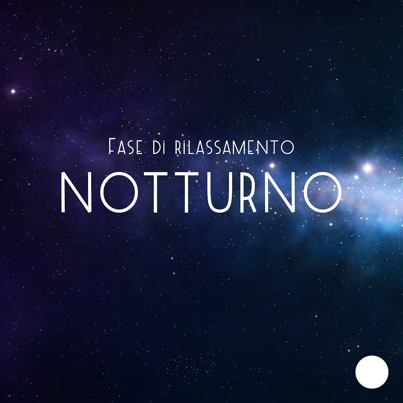 Постер альбома Fase di rilassamento notturno