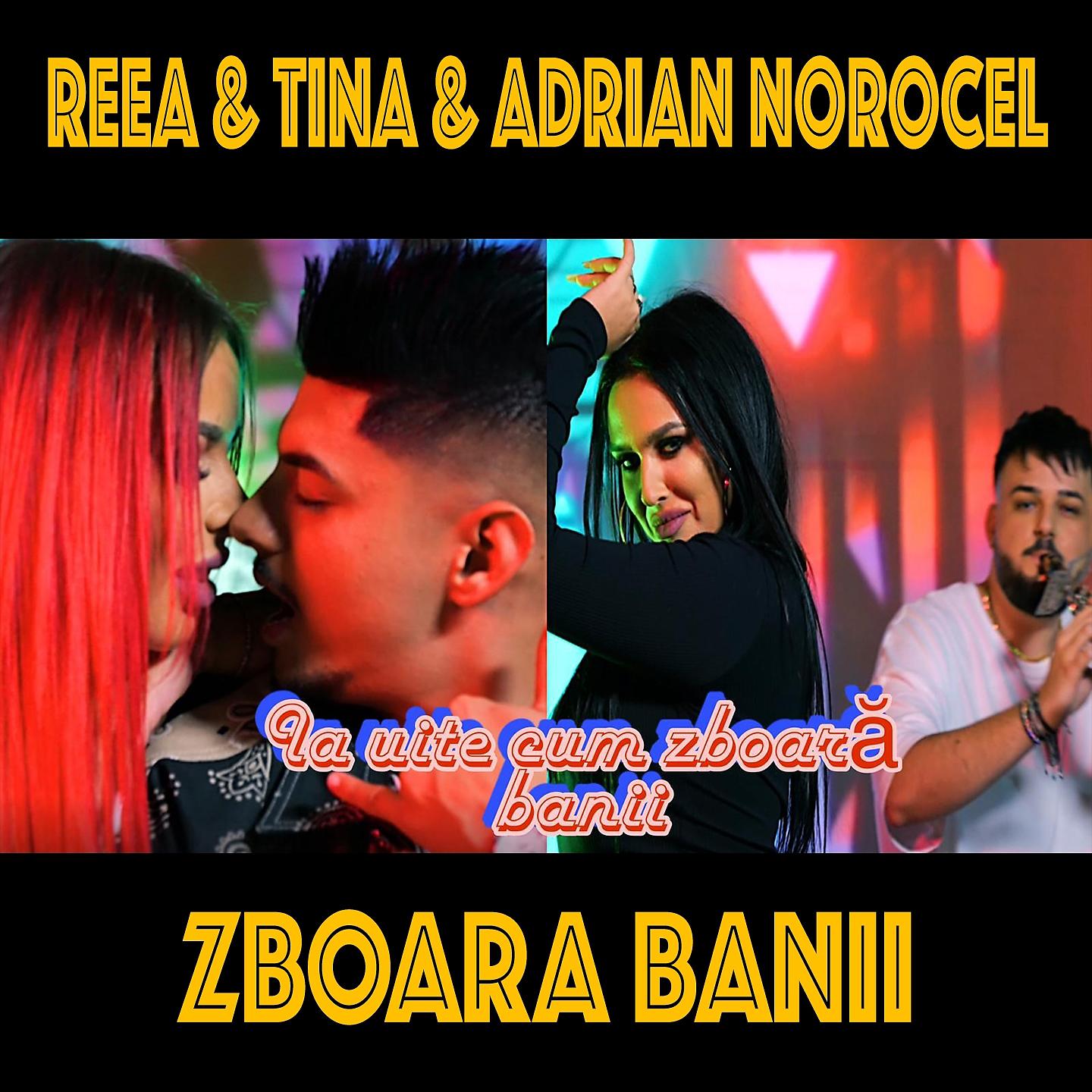 Постер альбома Zboara Banii