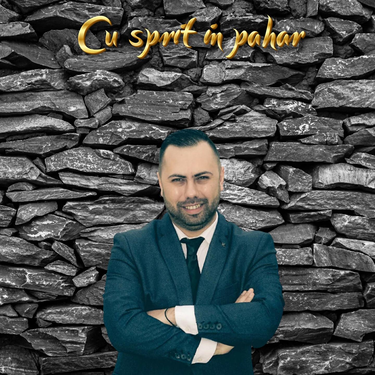 Romica Ciocarlan - Padure, padure draga