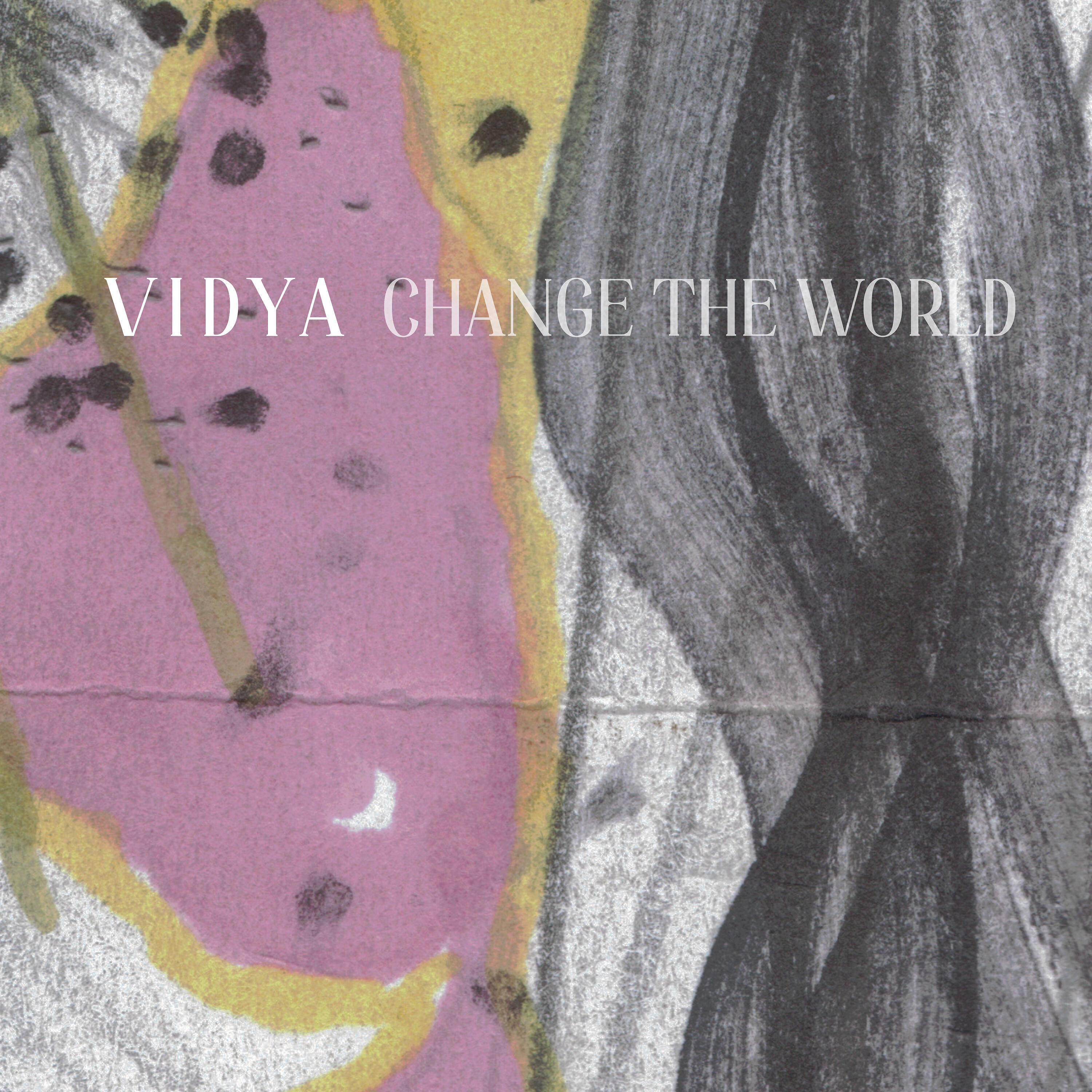 Vidya - Change the World