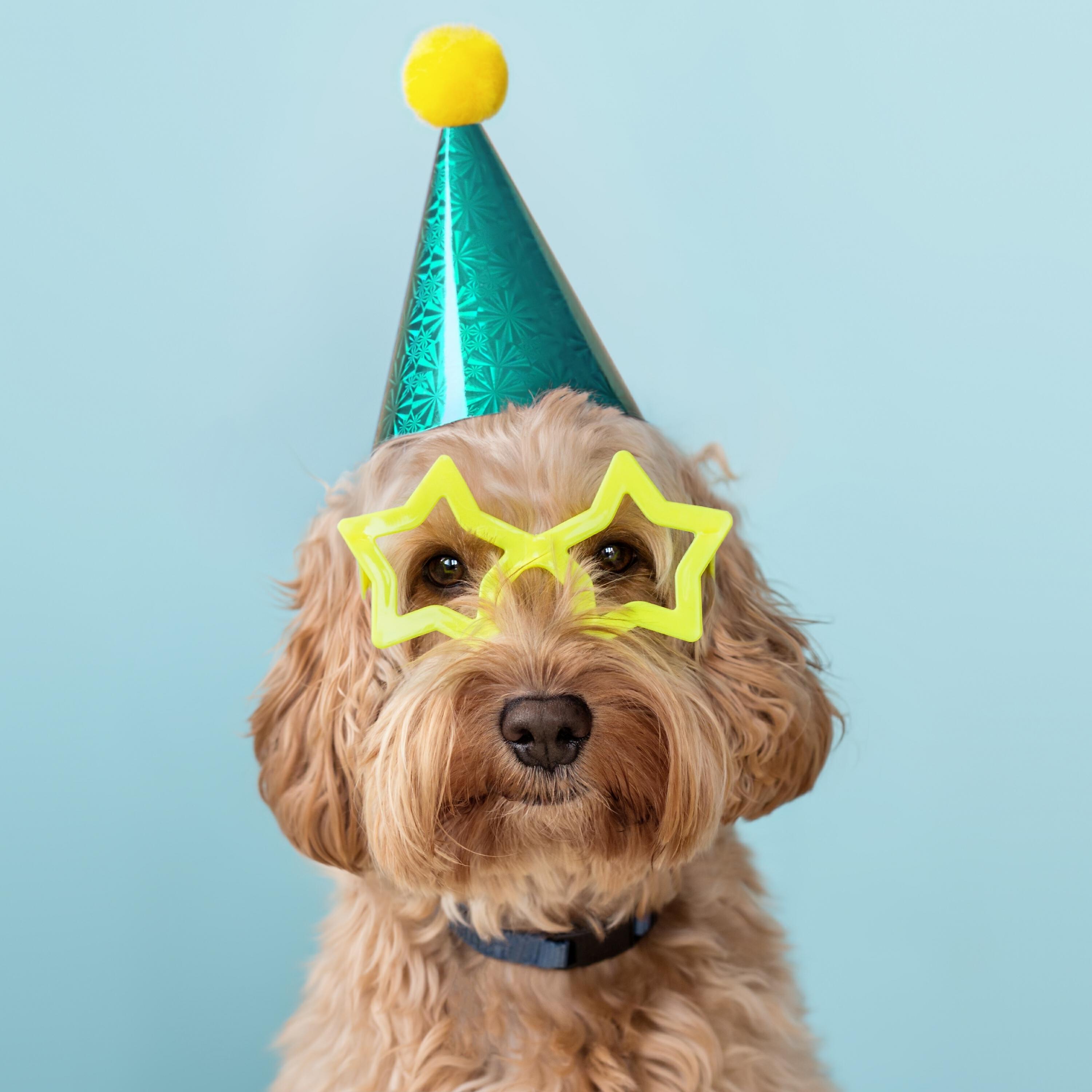 Geronimo Jules - Happy Birthday