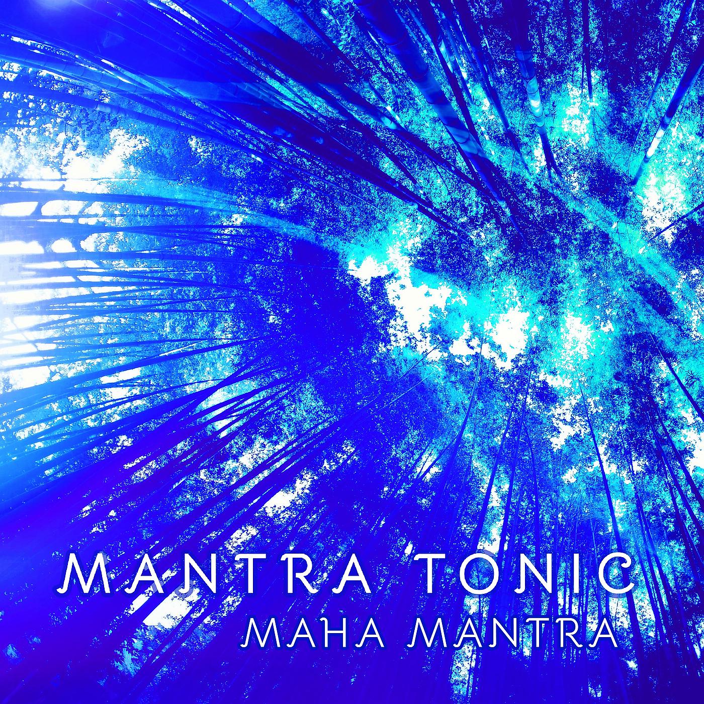 Постер альбома Maha Mantra