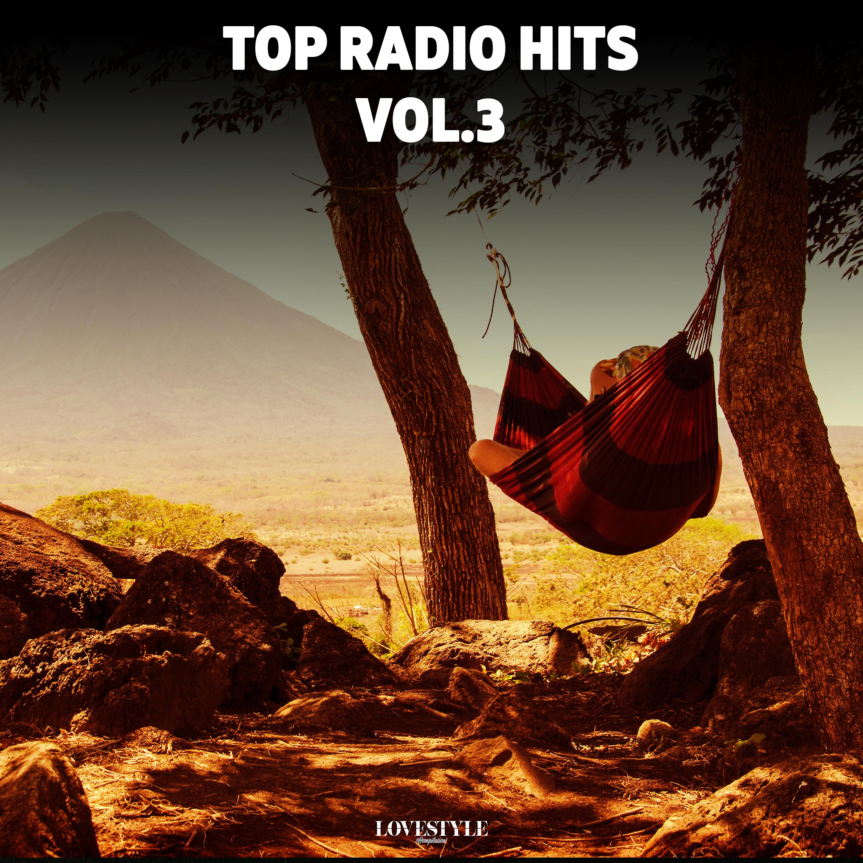 Постер альбома Top Radio Hits Vol. 3