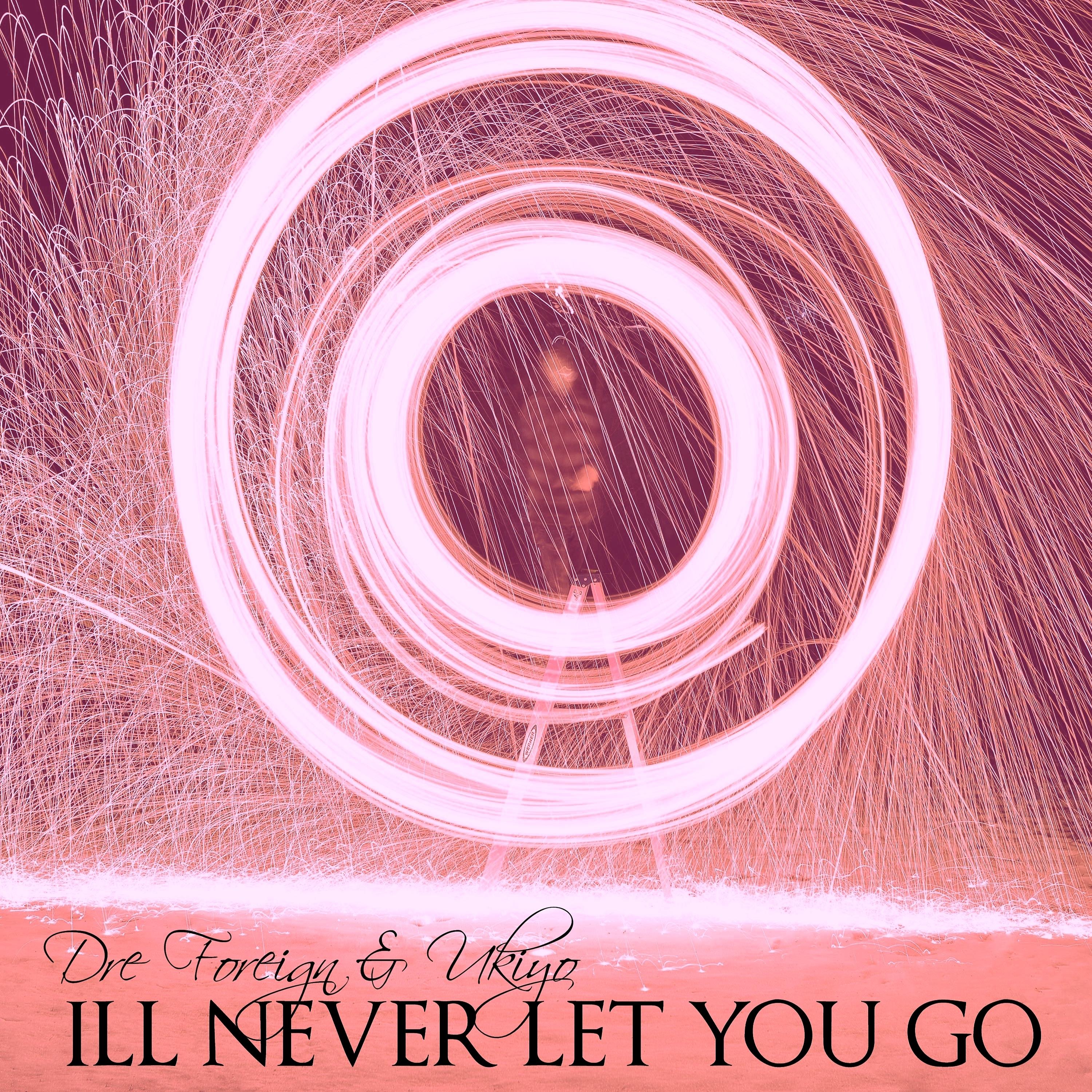 Постер альбома Ill Never Let You Go