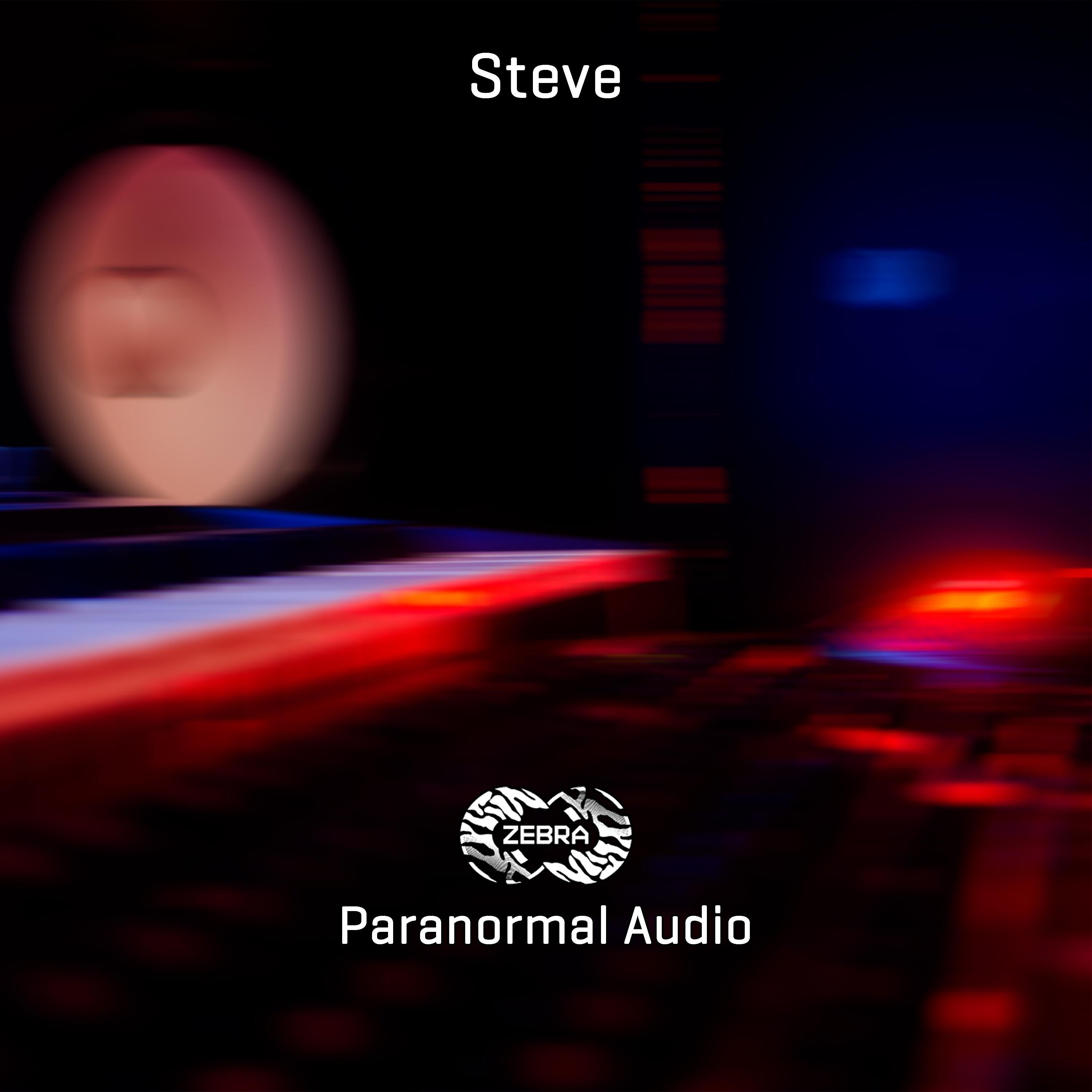 Steve - Steve Gut Feel
