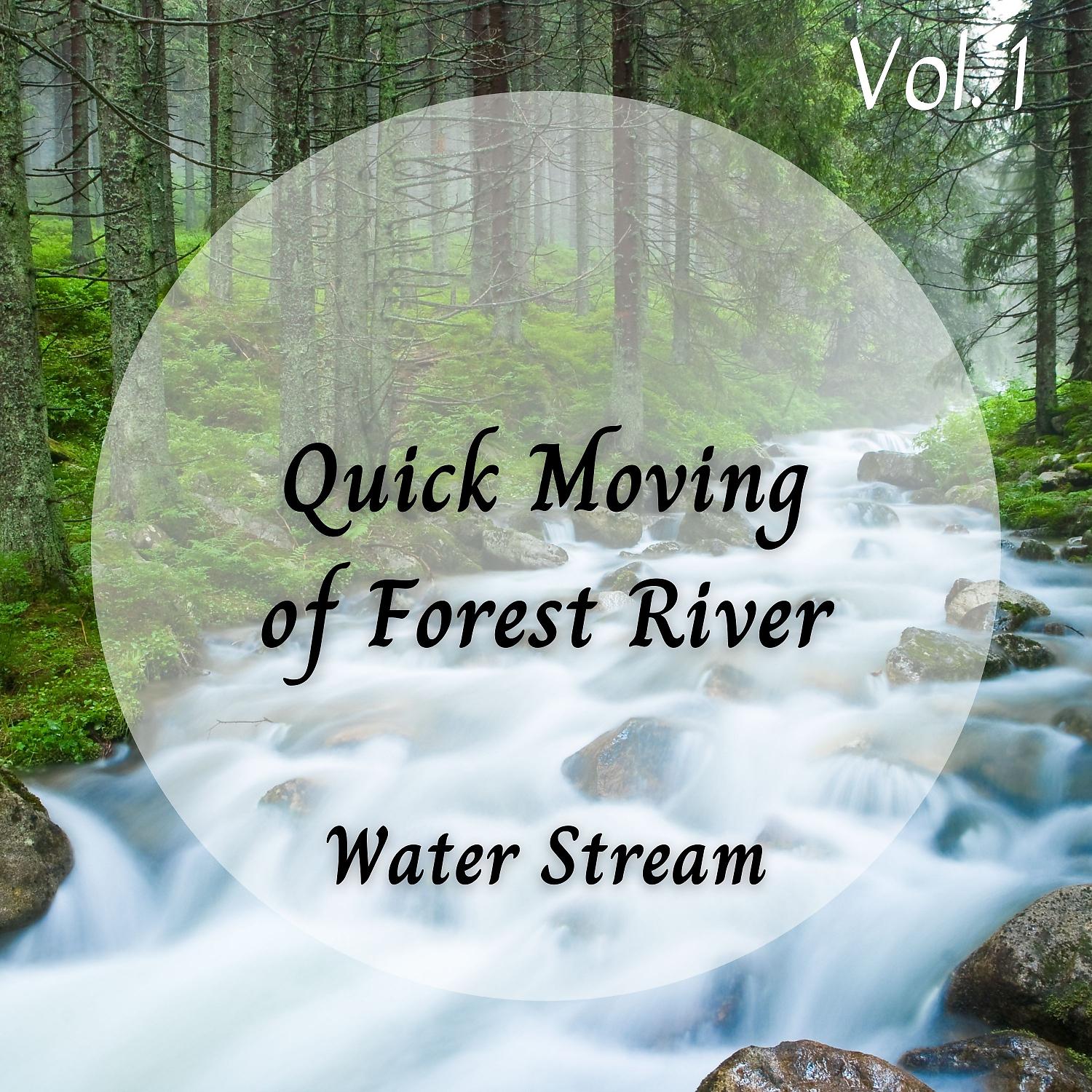 Постер альбома Water Stream: Quick Moving of Forest River Vol. 1